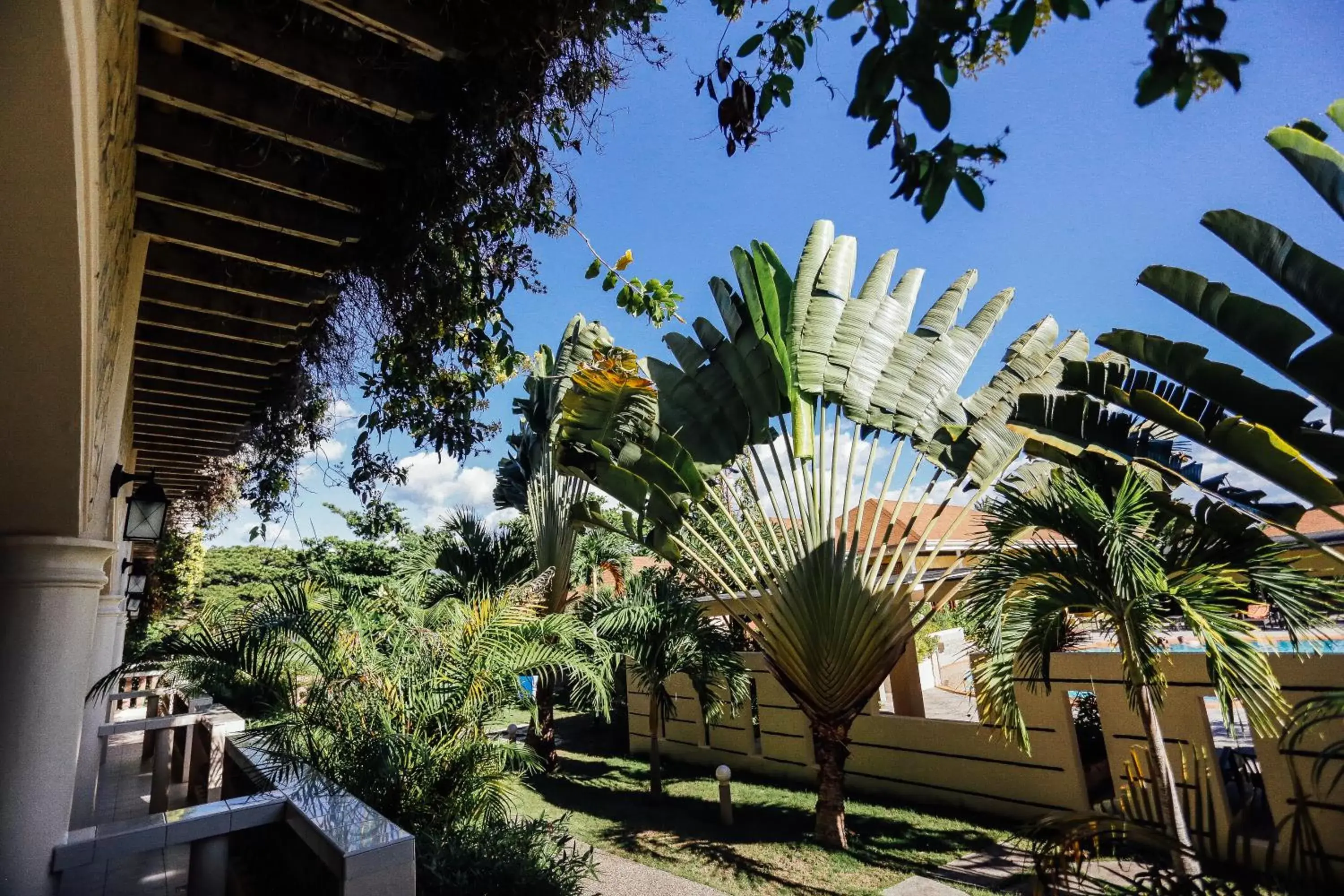 Garden view in Turtle Bay Dive Resort