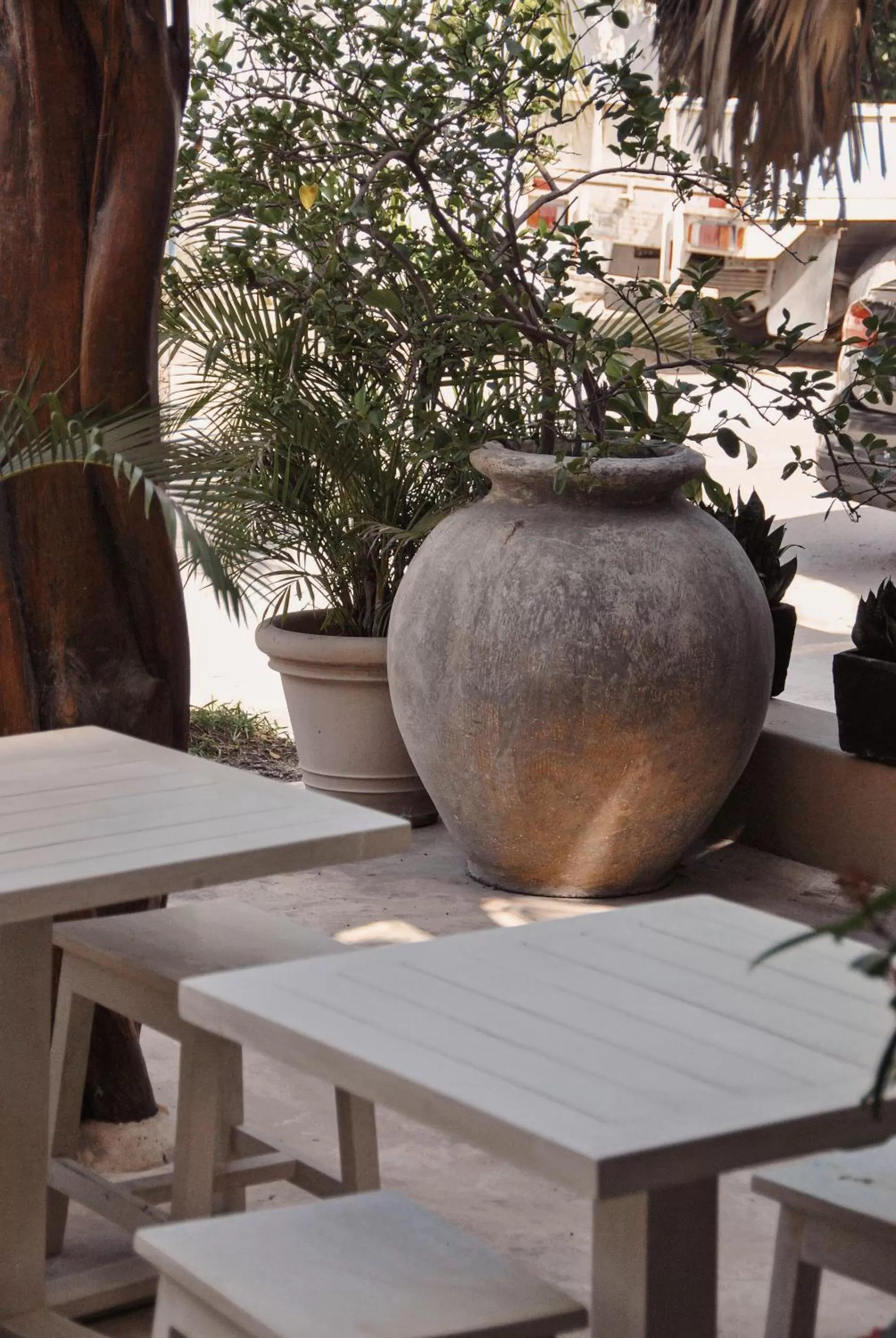 Restaurant/places to eat in Boutique Hotel Posada 06 Tulum