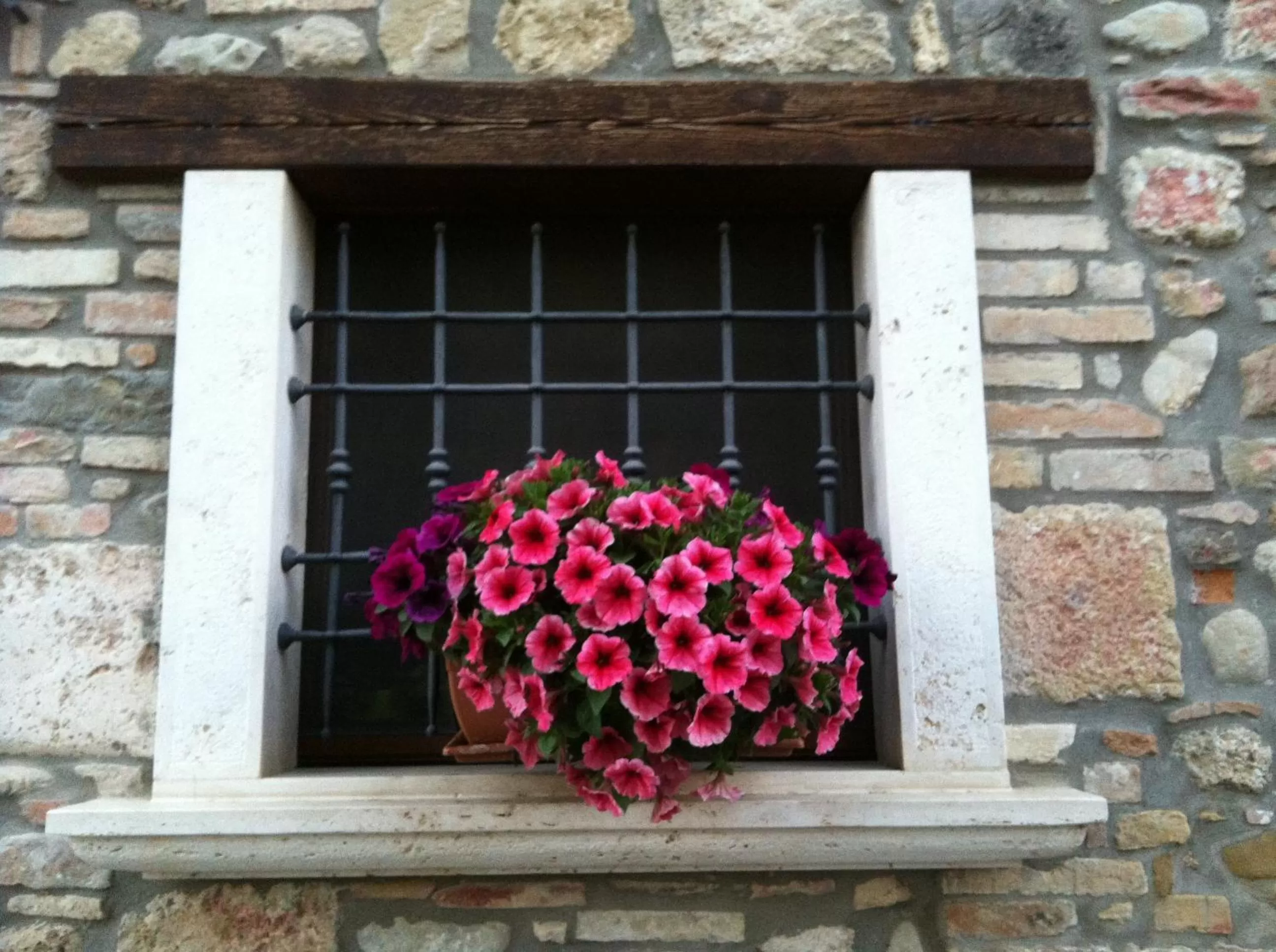 Facade/entrance in Agriturismo La Cantina