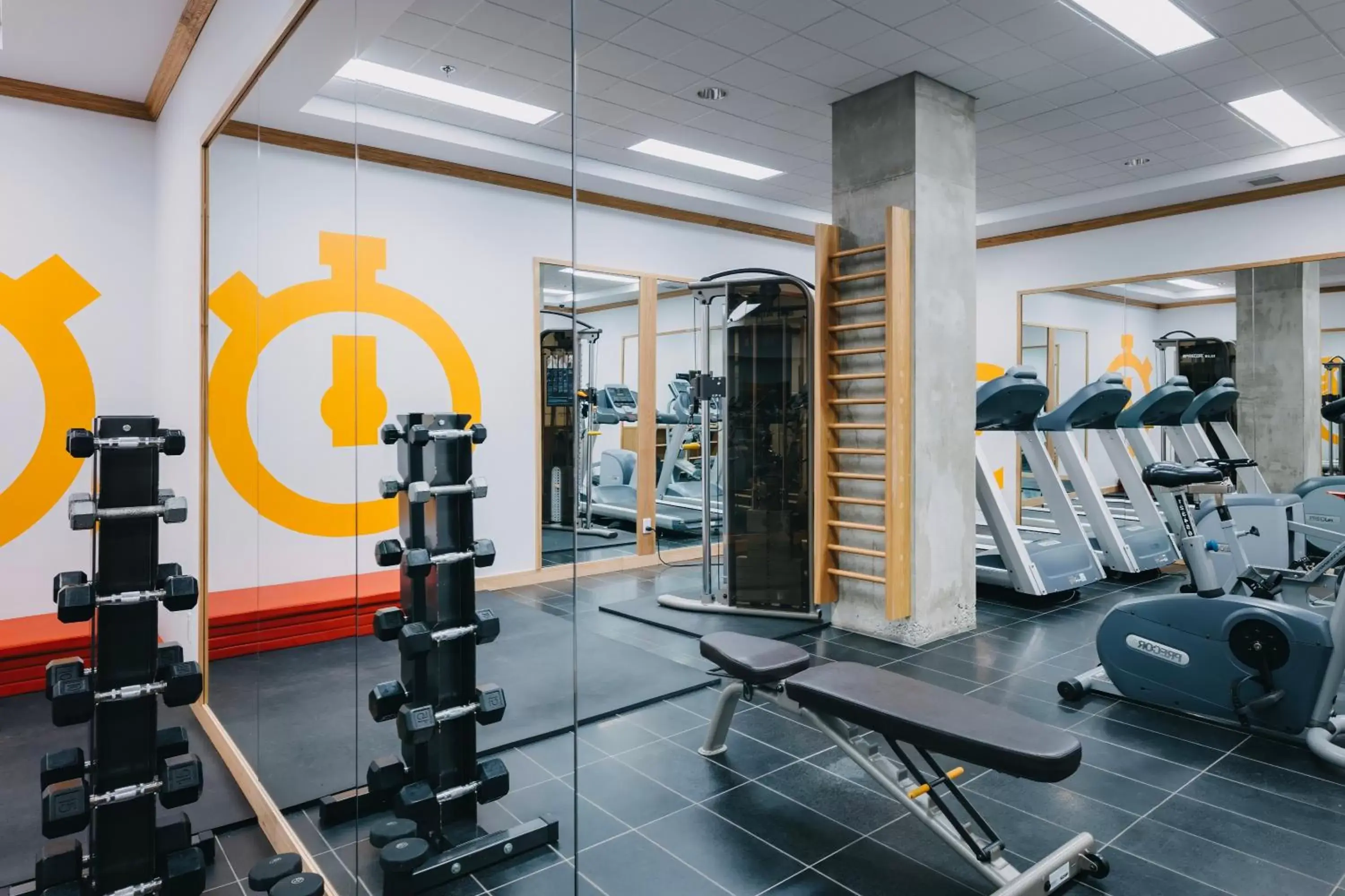 Fitness centre/facilities, Fitness Center/Facilities in Le Dauphin Montréal Centre-Ville