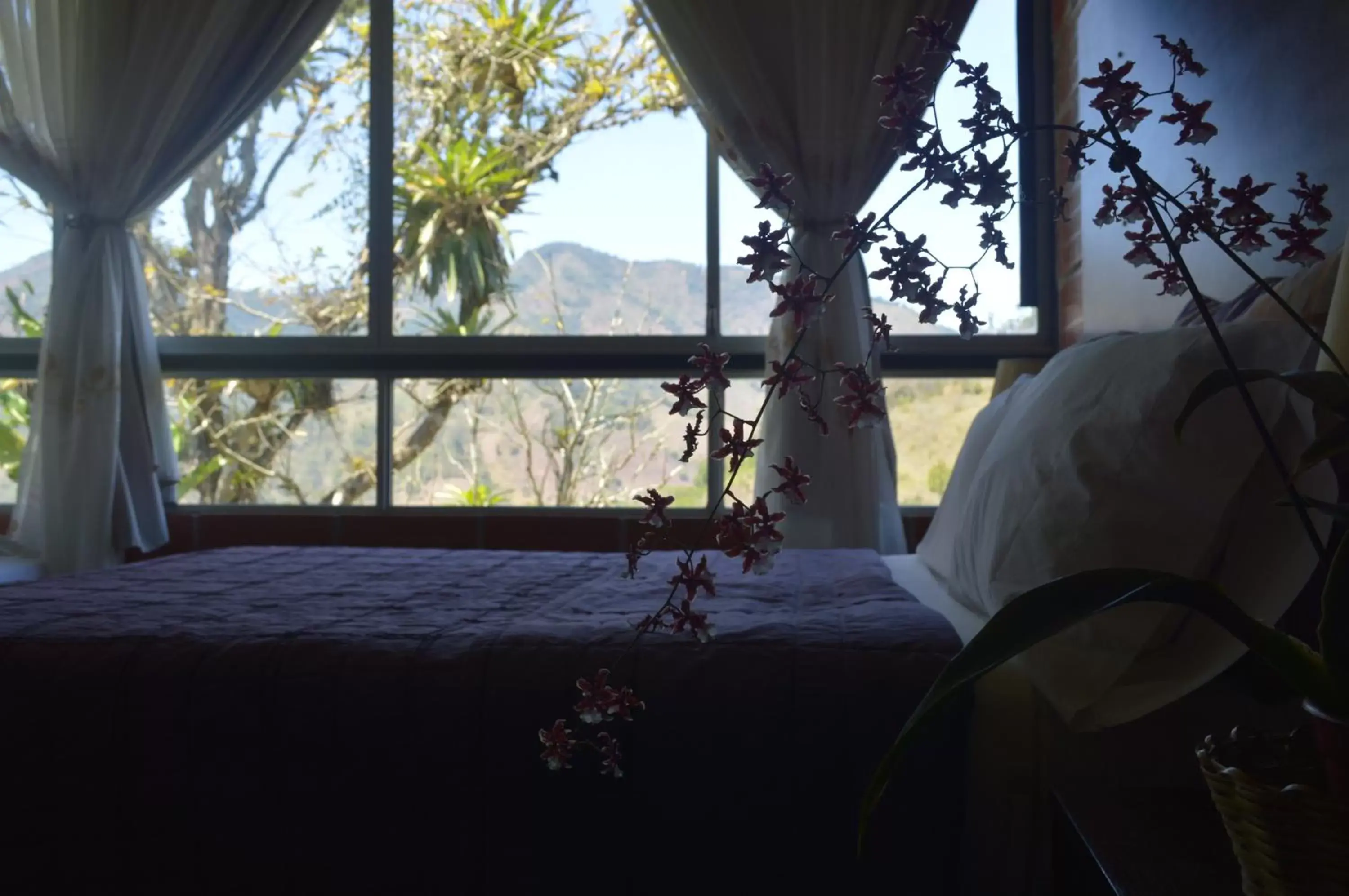 Double Room with Mountain View - single occupancy in Hosteria Florecer Double Room with Mountain View - single occupancy in Hosteria Florecer