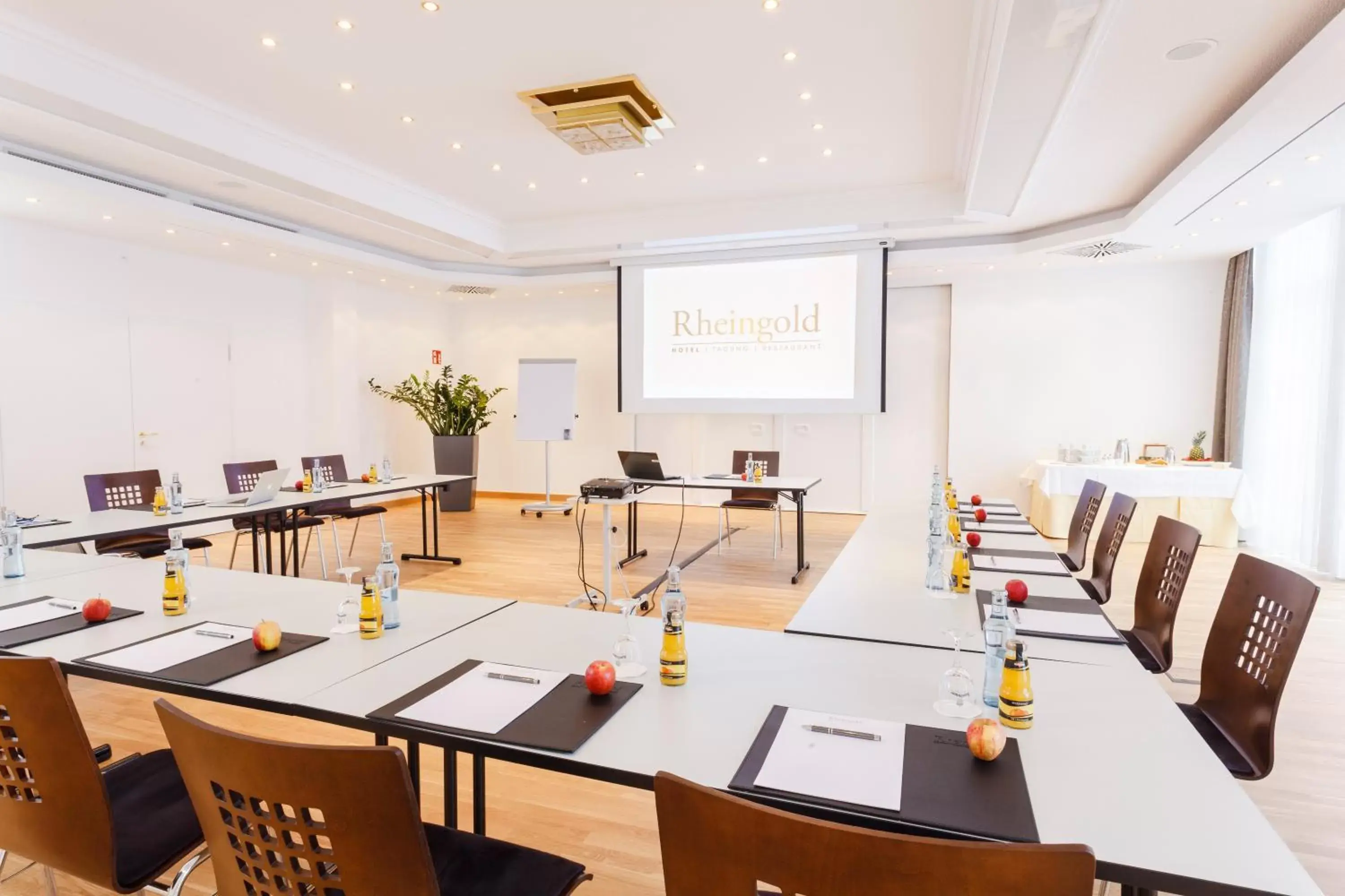 Meeting/conference room, Business Area/Conference Room in Hotel Rheingold