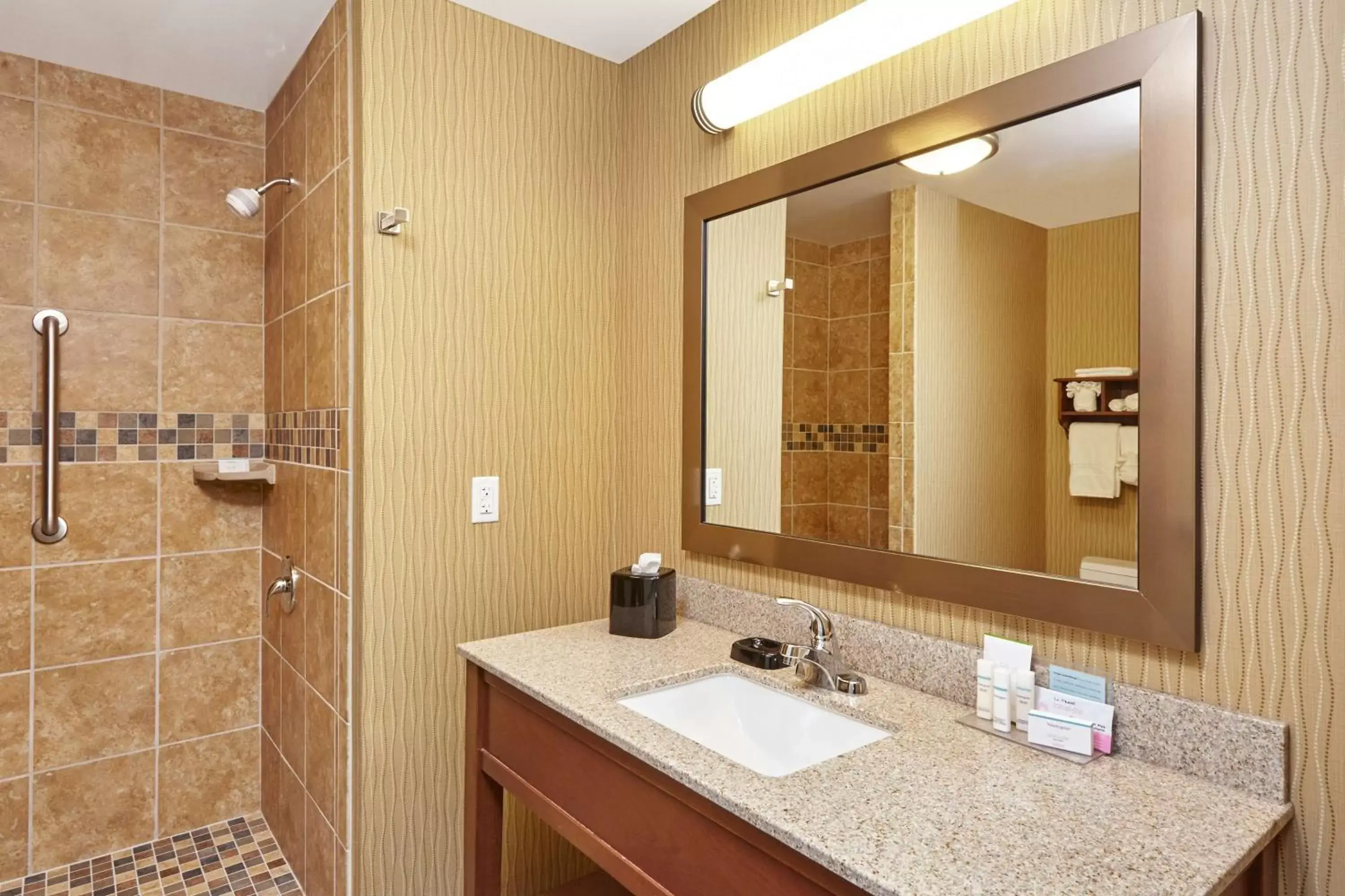 Bathroom in Hampton Inn & Suites Milwaukee/Franklin