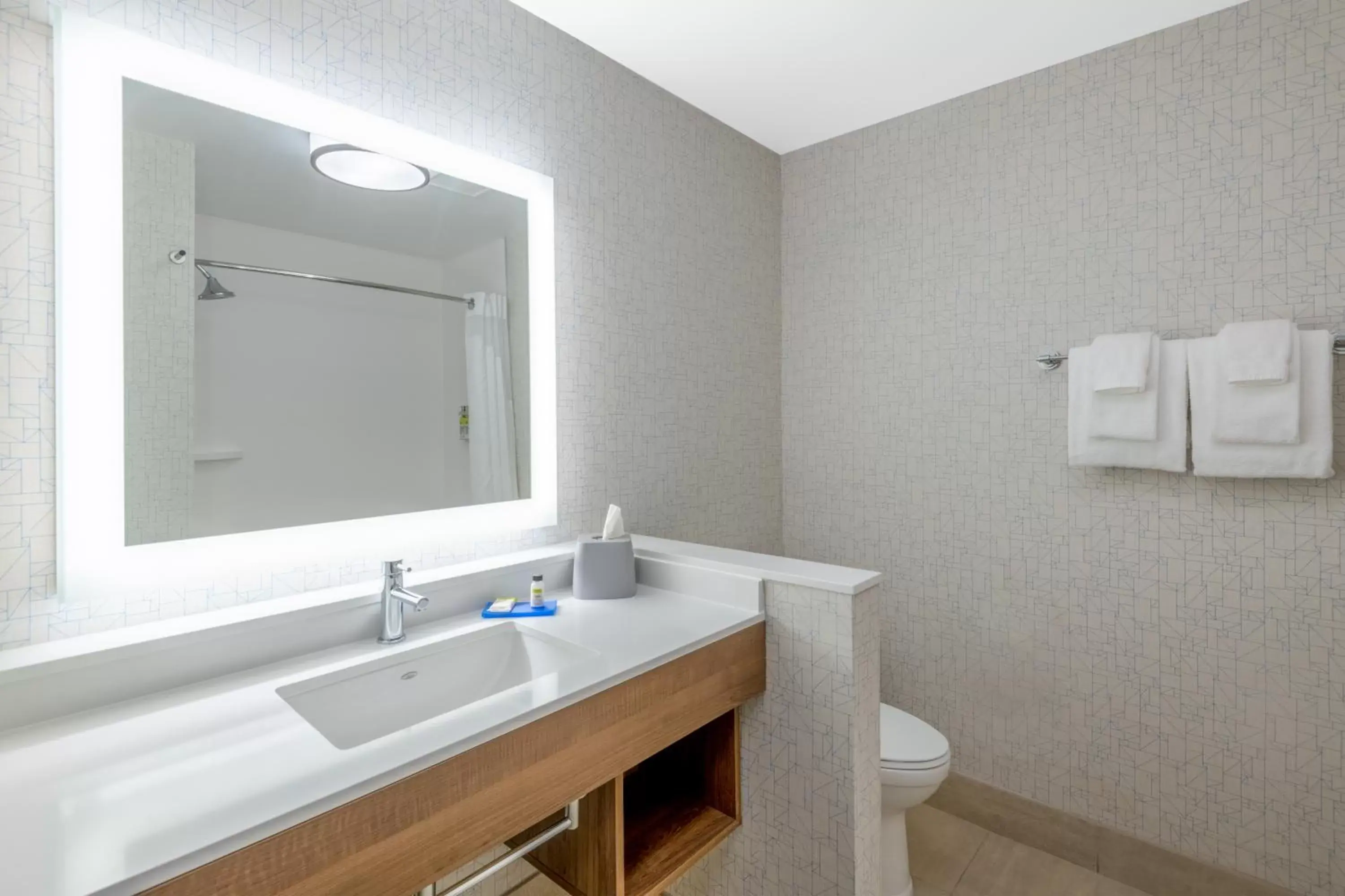 Bathroom in Holiday Inn Express & Suites - Phoenix - Airport North, an IHG Hotel