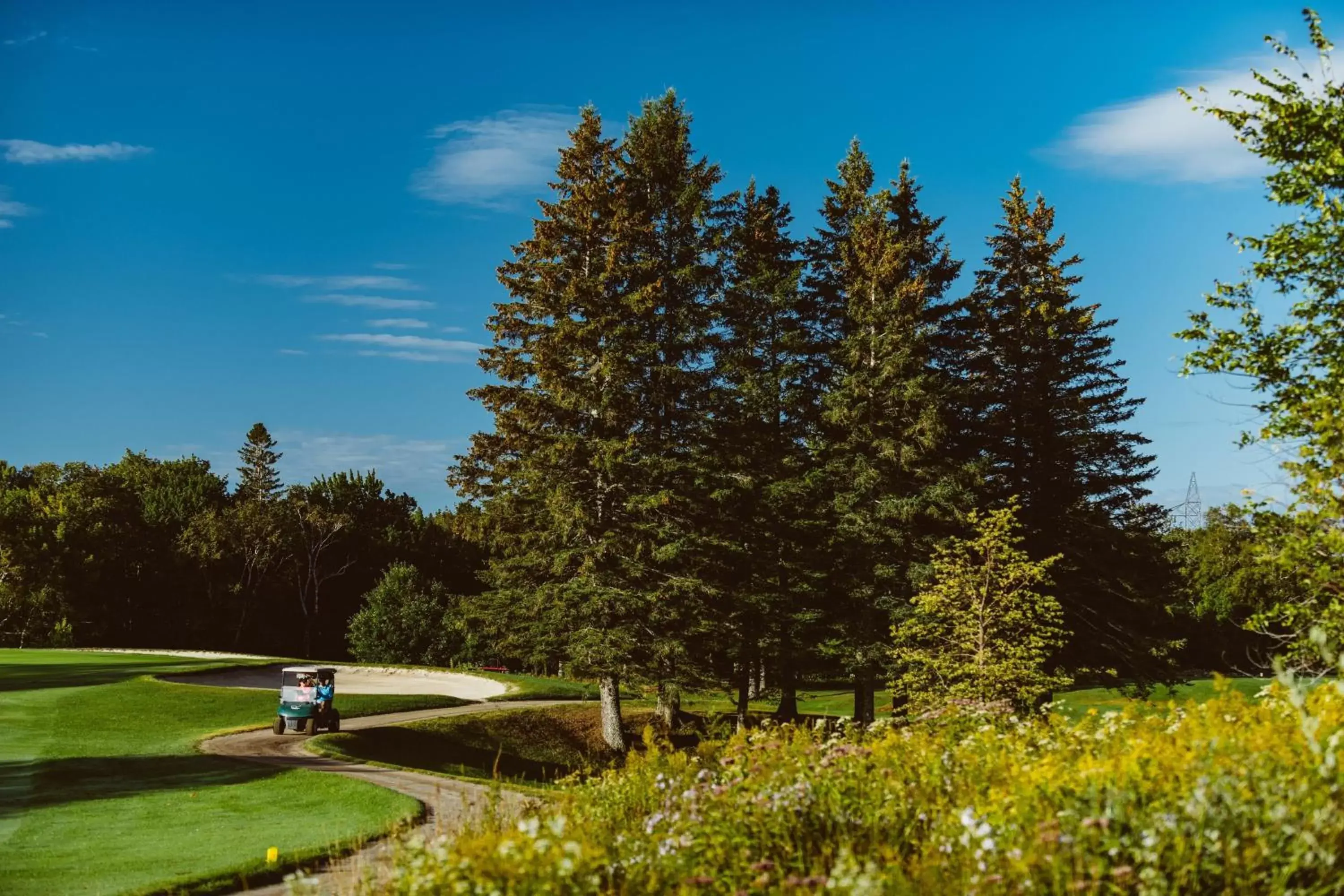 Golfcourse, Garden in Delta Hotels by Marriott Mont Sainte-Anne, Resort & Convention Center