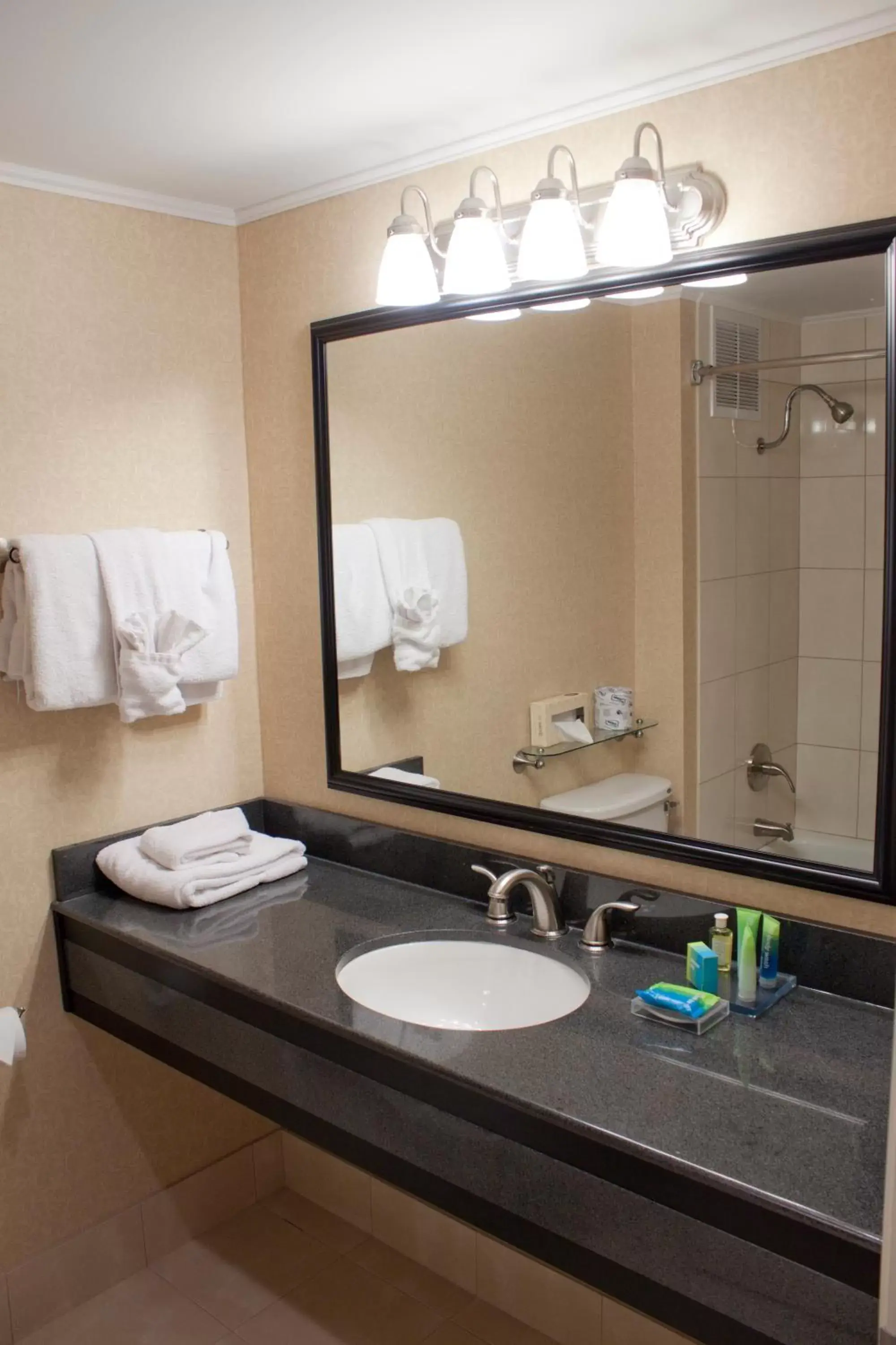 Bathroom in Penn Harris Hotel Harrisburg, Trademark by Wyndham