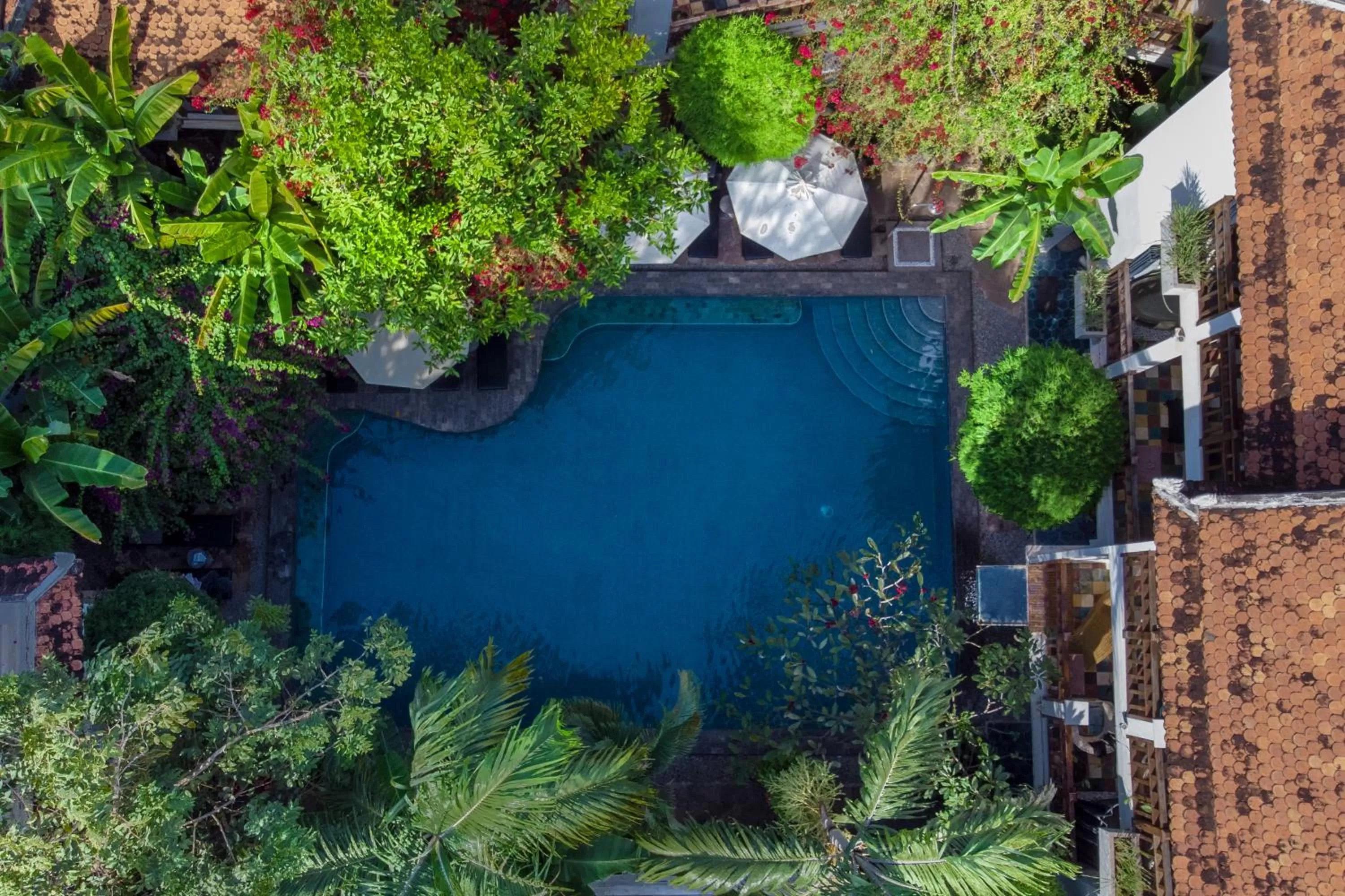 Swimming pool in Rambutan Resort – Siem Reap