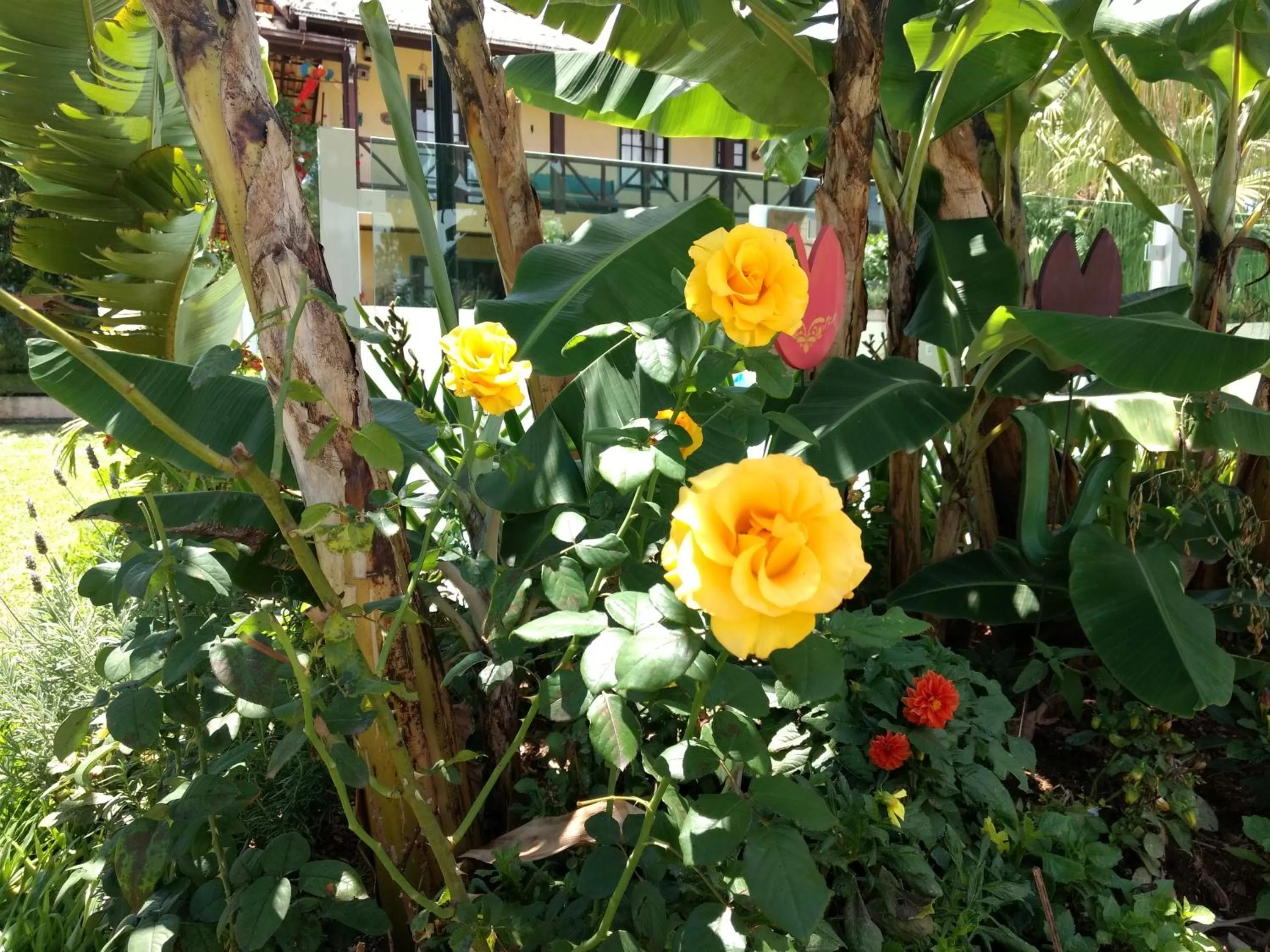 Pousada Santa Genoveva campeche