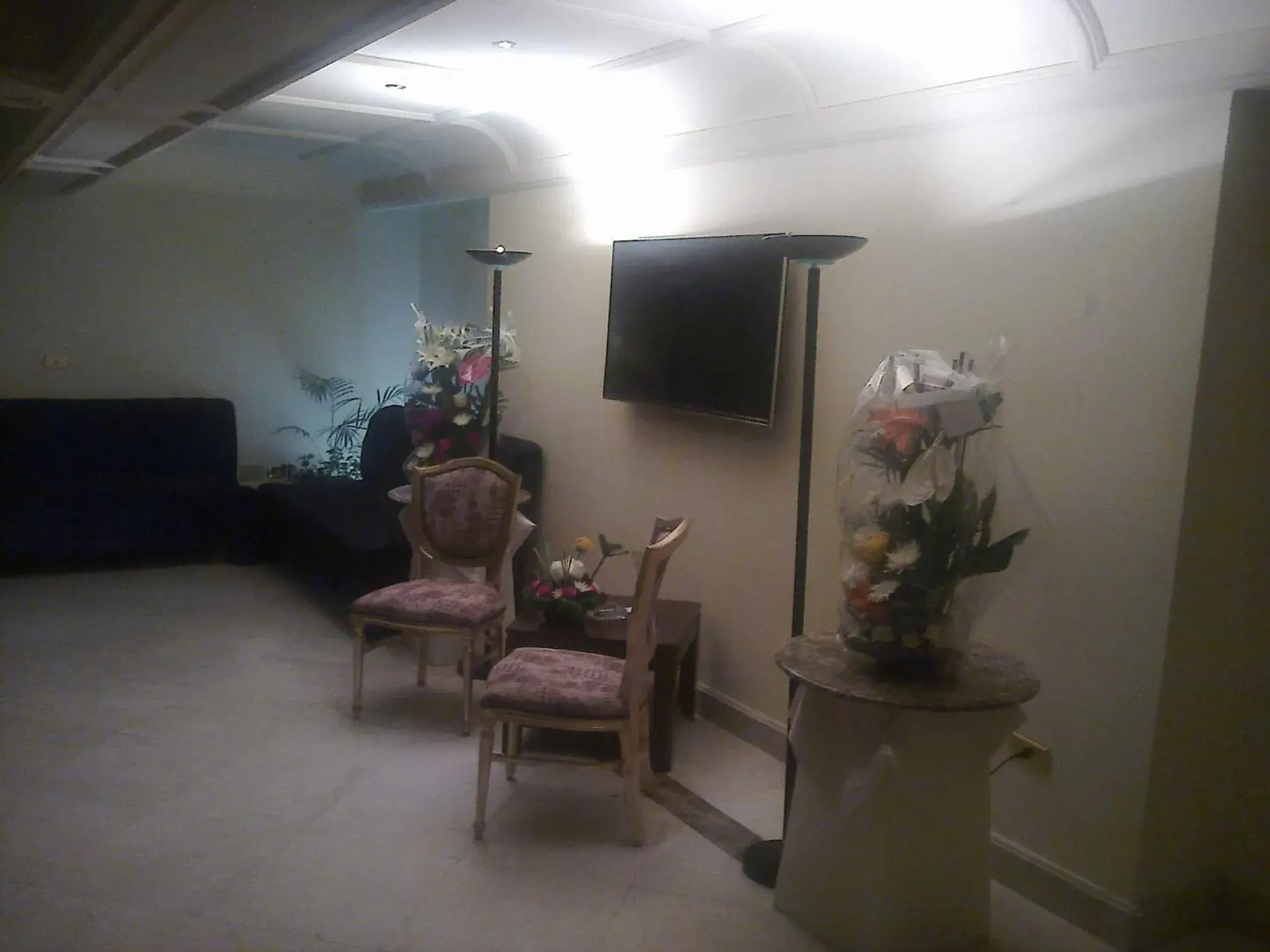 Banquet/Function facilities, TV/Entertainment Center in Kanzy Hotel Cairo