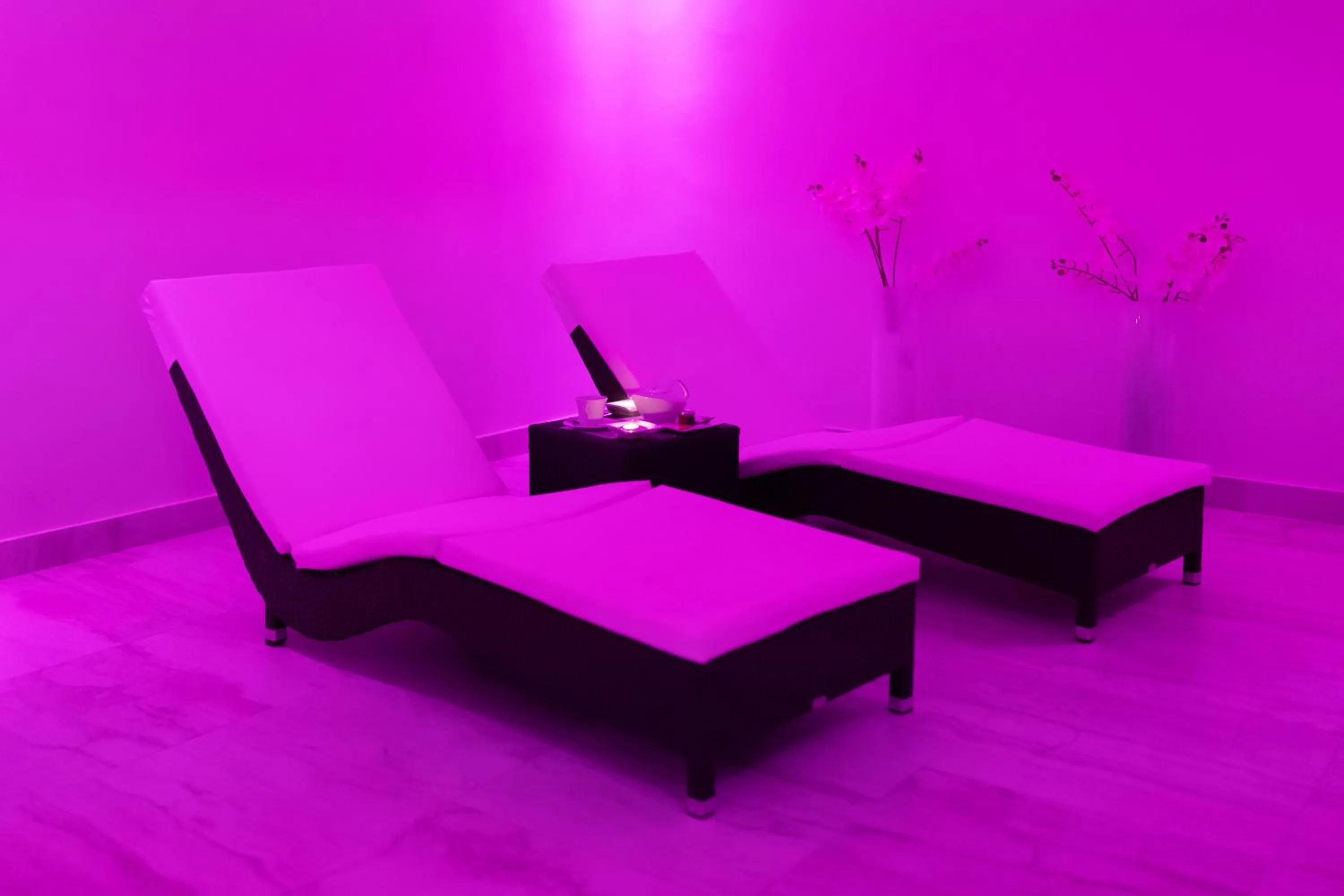 Spa and wellness centre/facilities in Hotel Le Premier