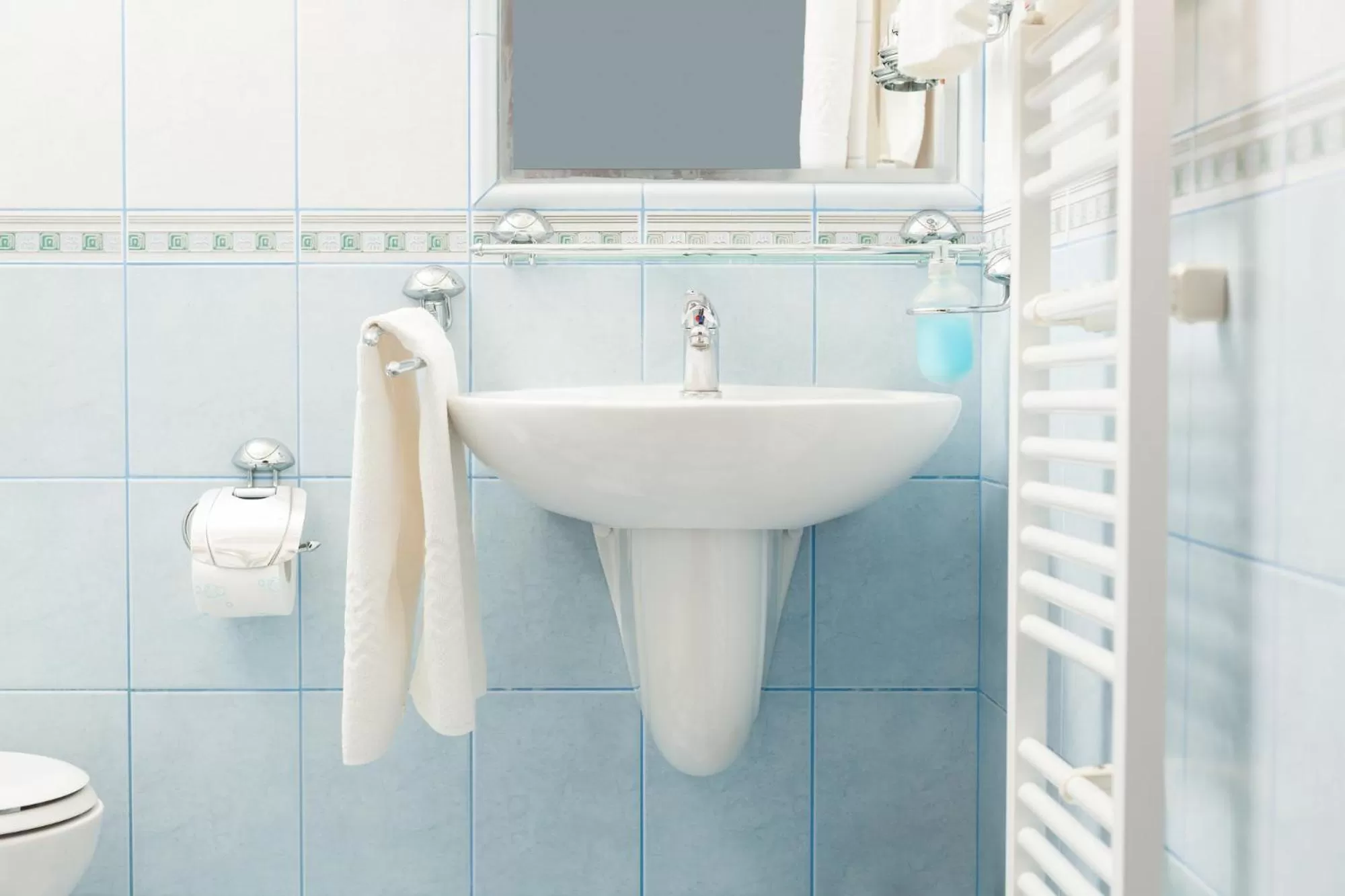 Single Room in Hotel Kamélia