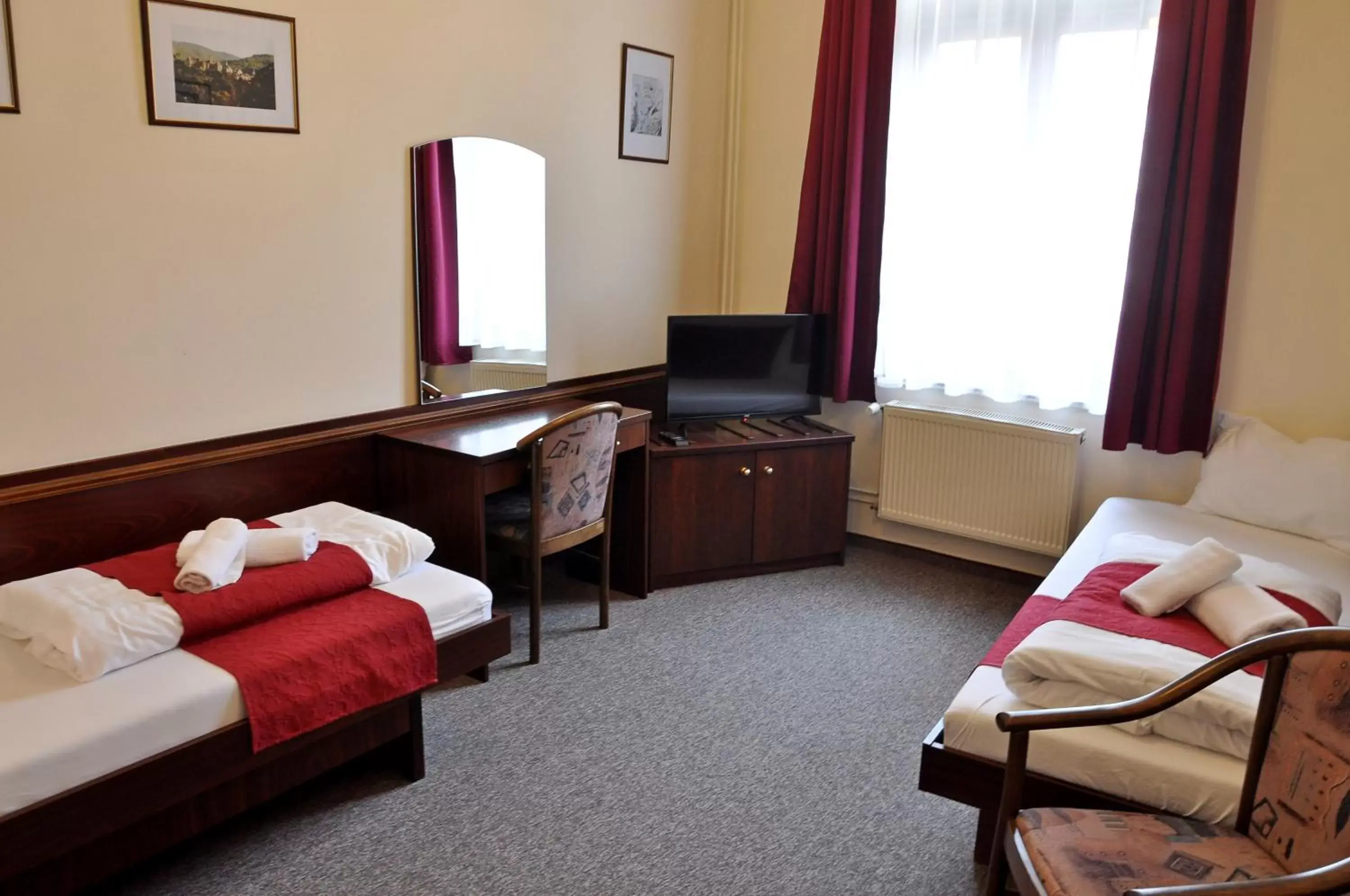 Twin Room - single occupancy in Hotel U Bílého koně Twin Room - single occupancy in Hotel U Bílého koně