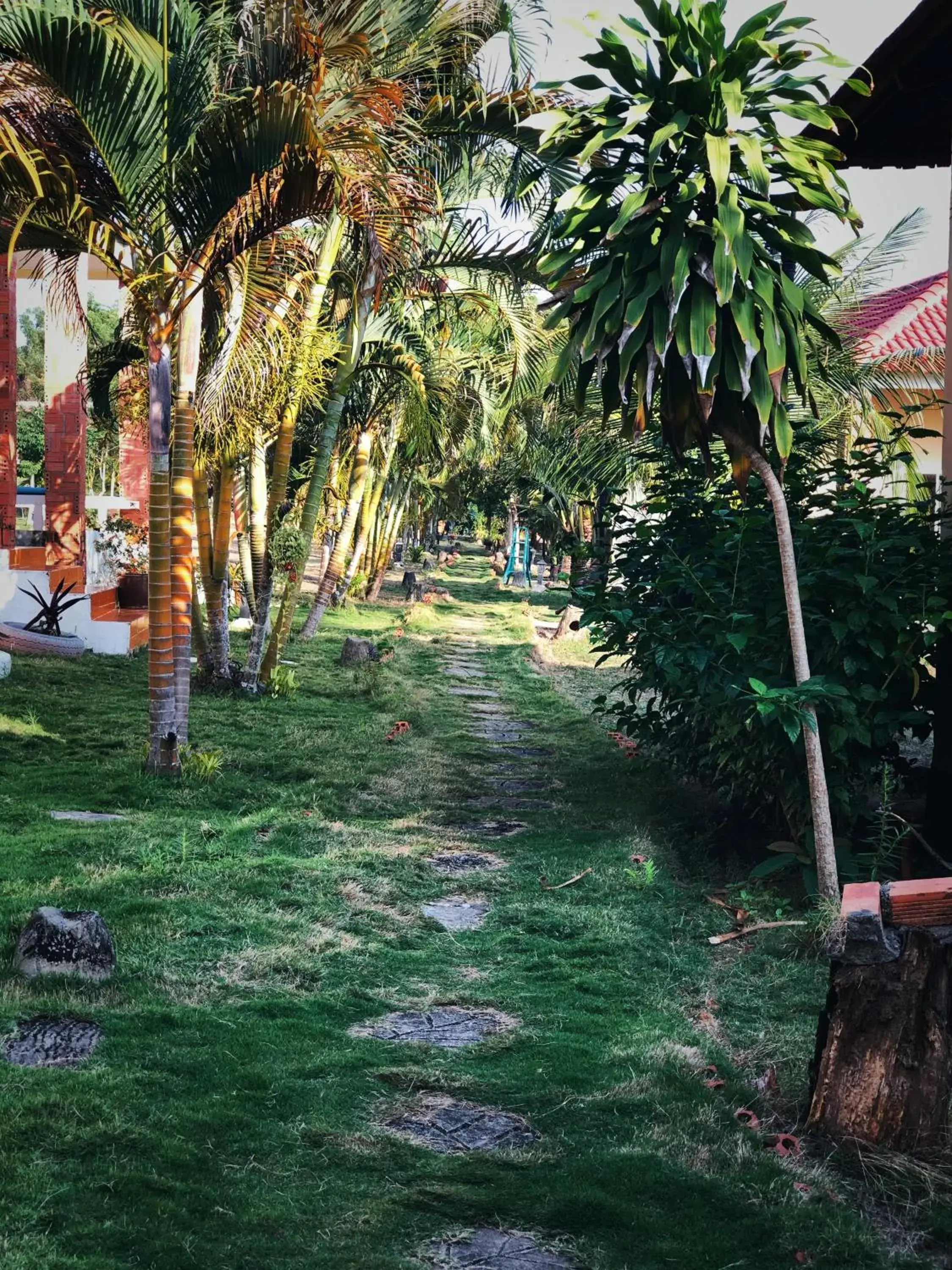 Natural landscape, Garden in Vung Bau Resort