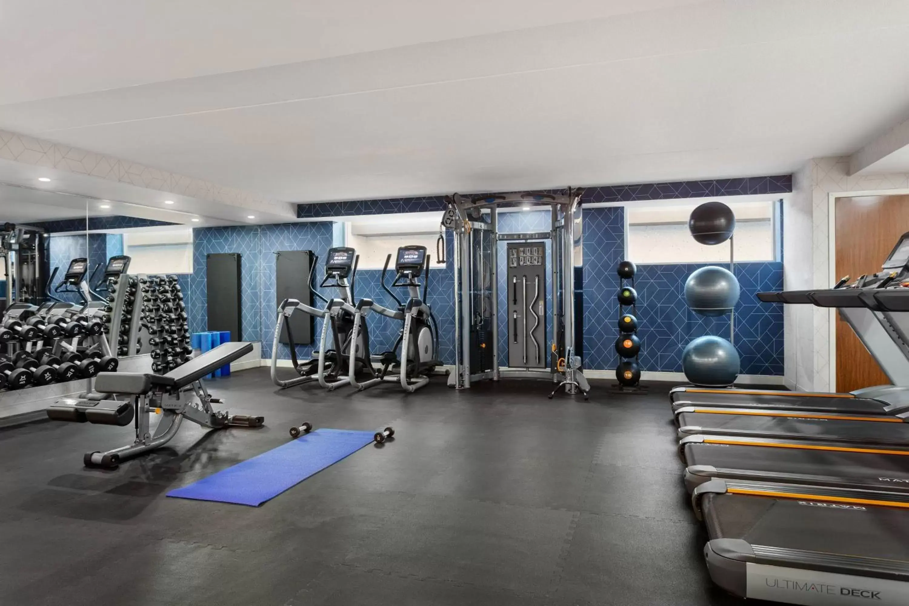 Fitness centre/facilities, Fitness Center/Facilities in Delta Hotels by Marriott - Indianapolis Airport