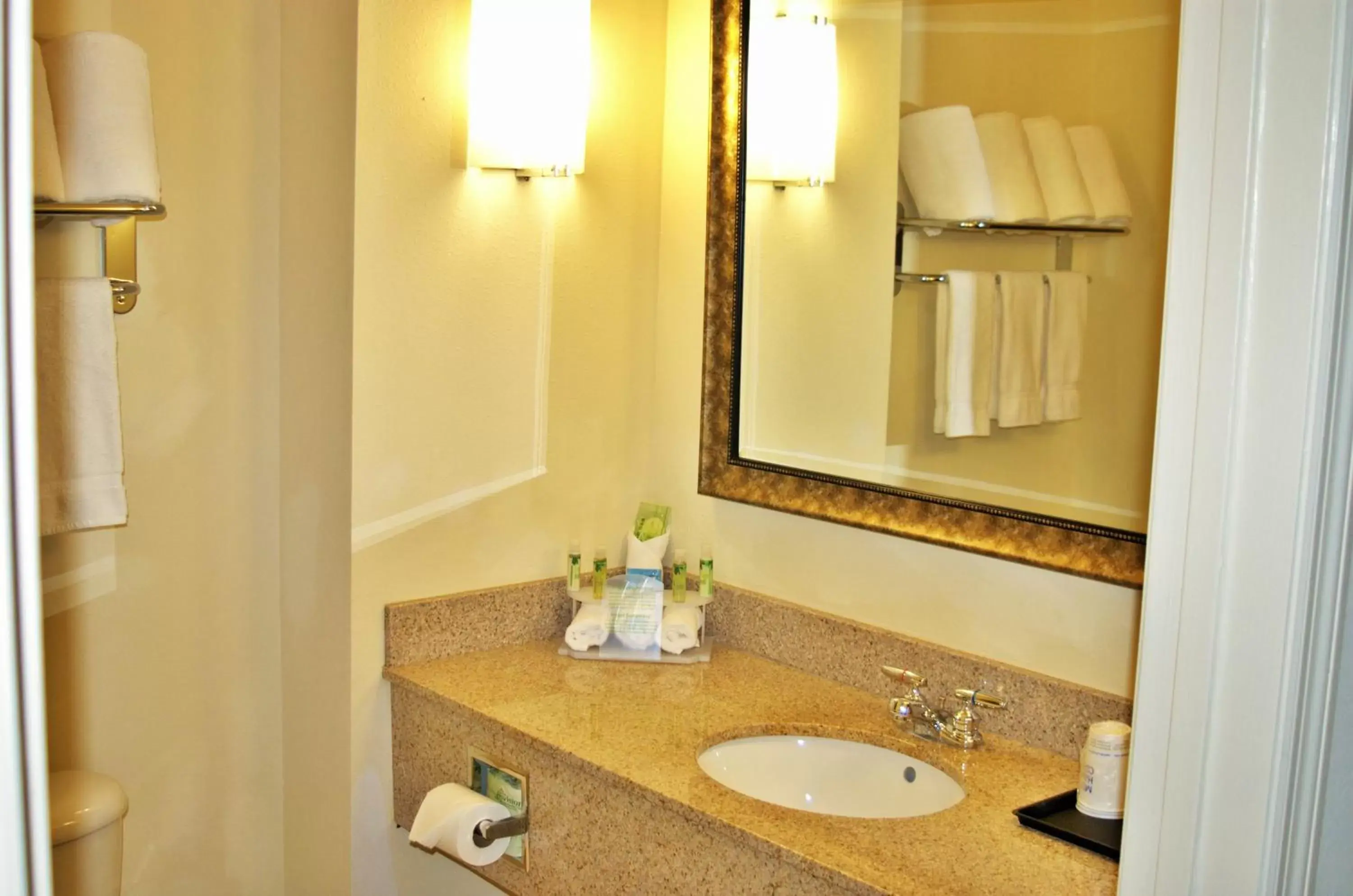 Bathroom in Holiday Inn Express DeFuniak Springs, an IHG Hotel