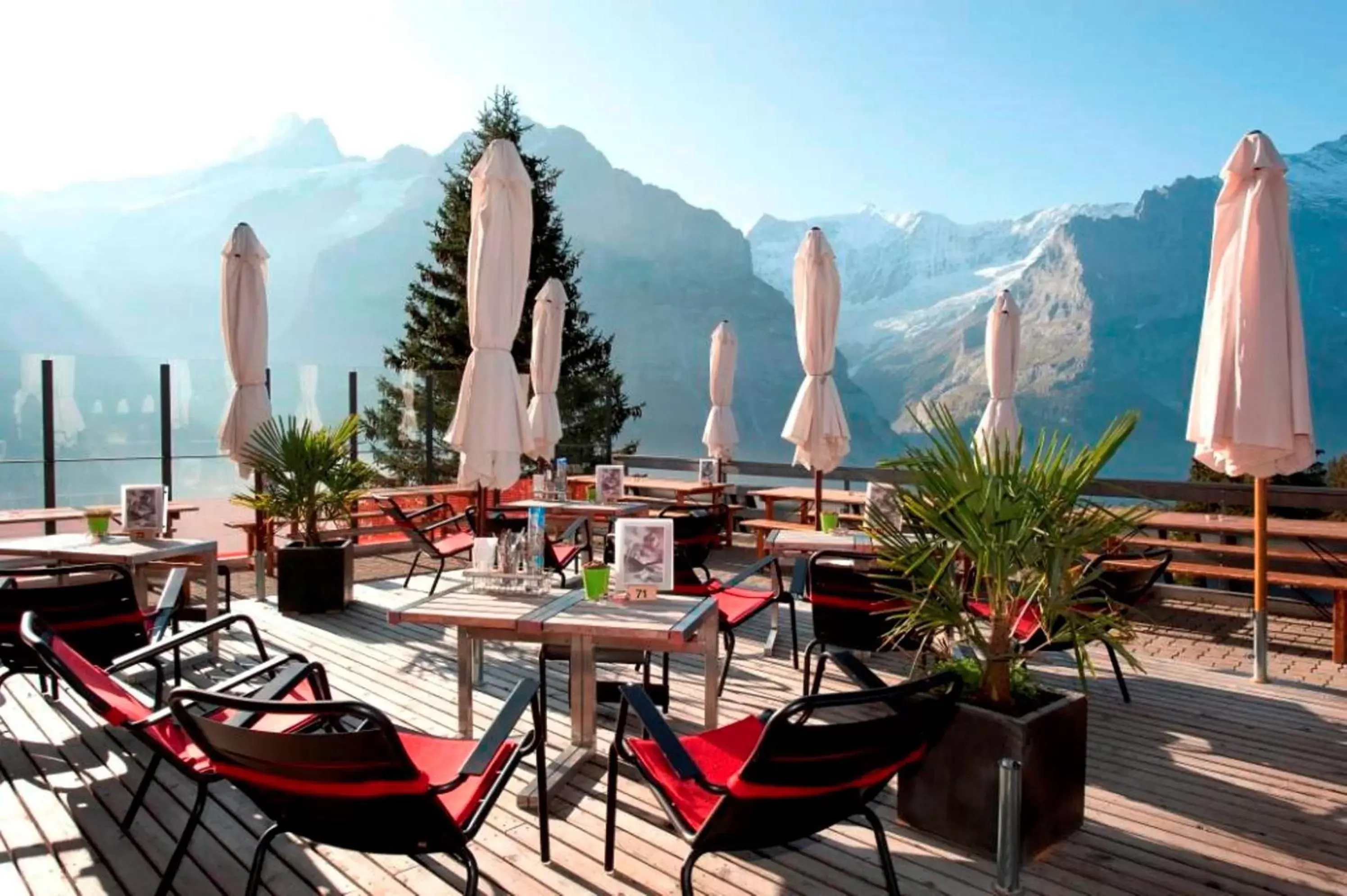 Summer, Restaurant/Places to Eat in Alpinhotel Bort