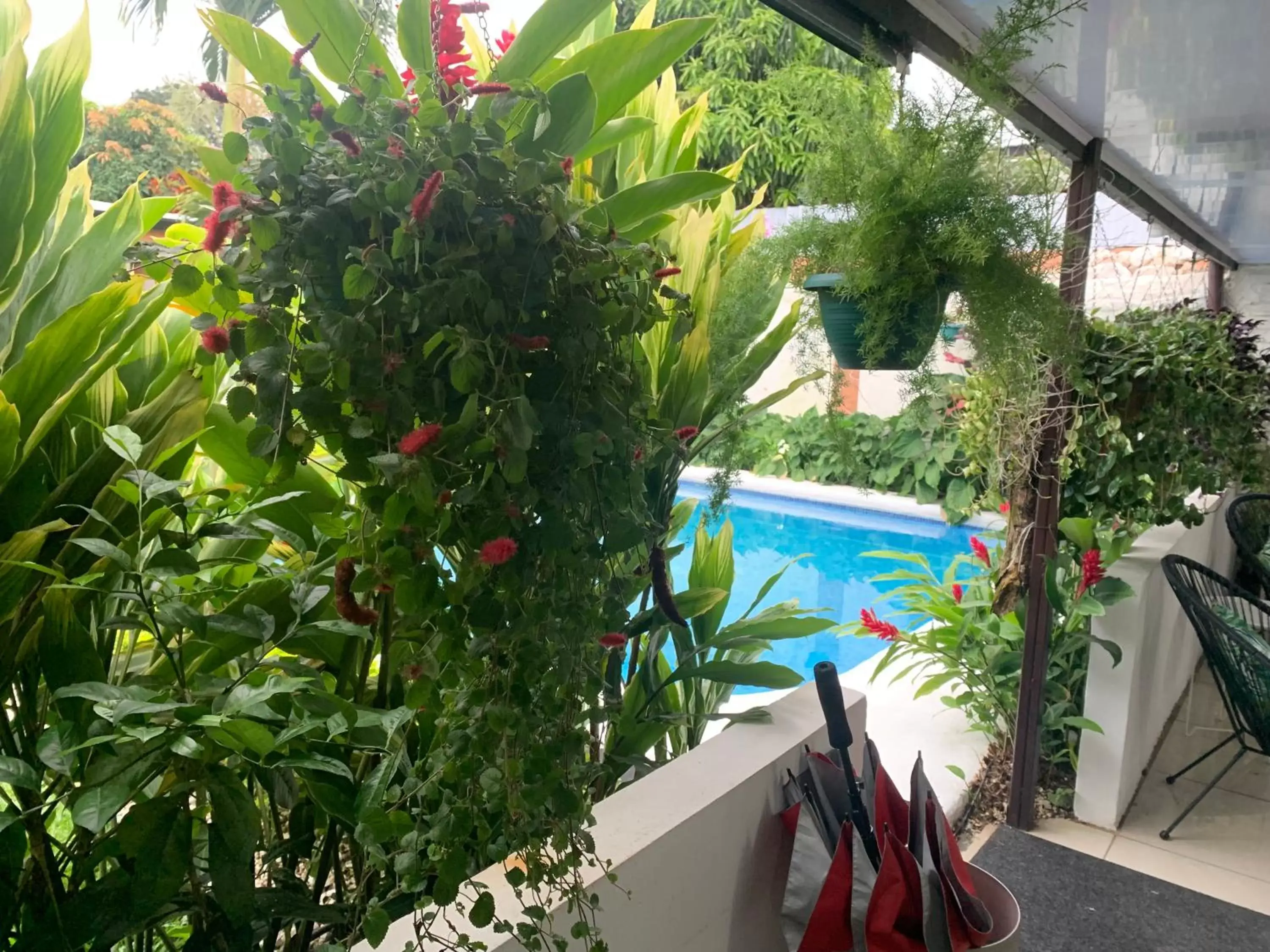 Garden, Pool View in Berlor Airport Inn