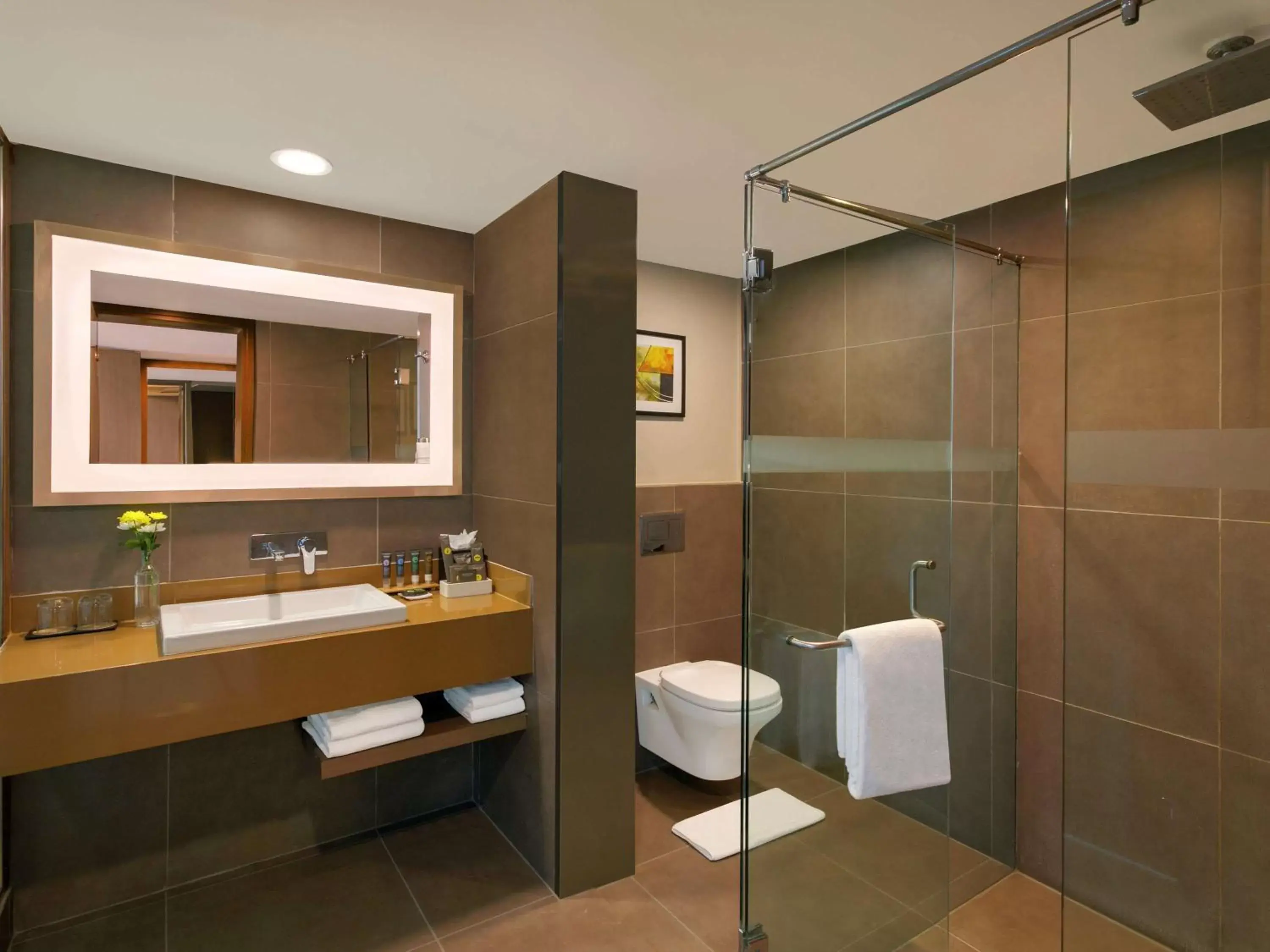 Photo of the whole room, Bathroom in Novotel Ahmedabad