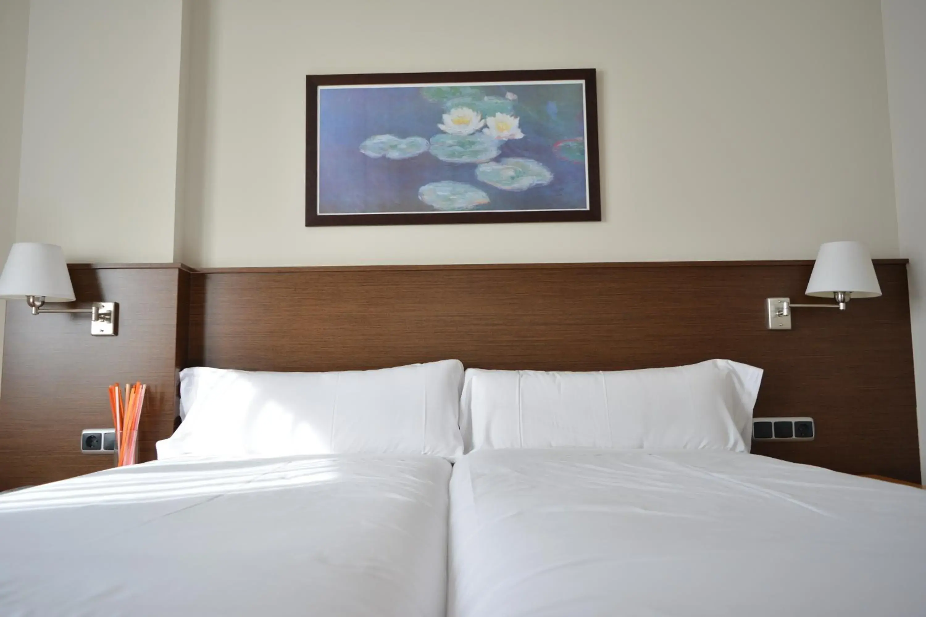 Decorative detail, Bed in Hotel Palacio Congresos