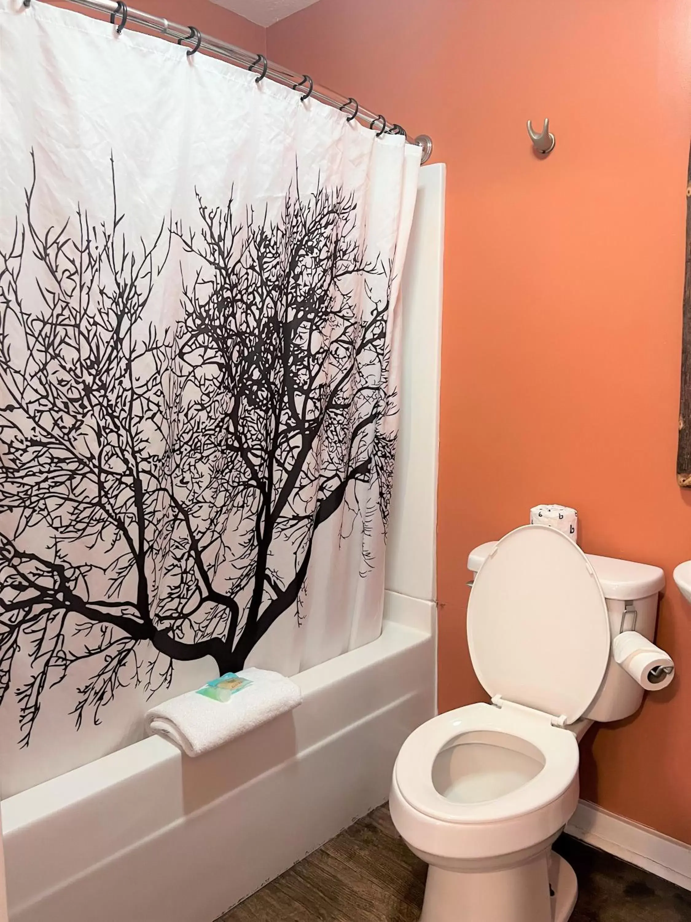 Shower, Bathroom in Mountain Top Inn and Resort