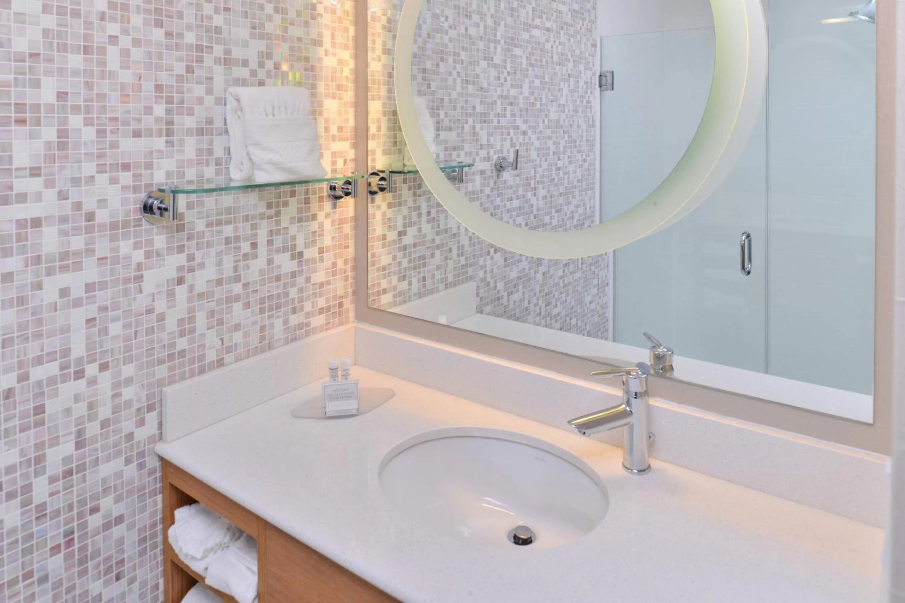 Bathroom in Springhill Suites by Marriott Detroit Metro Airport Romulus