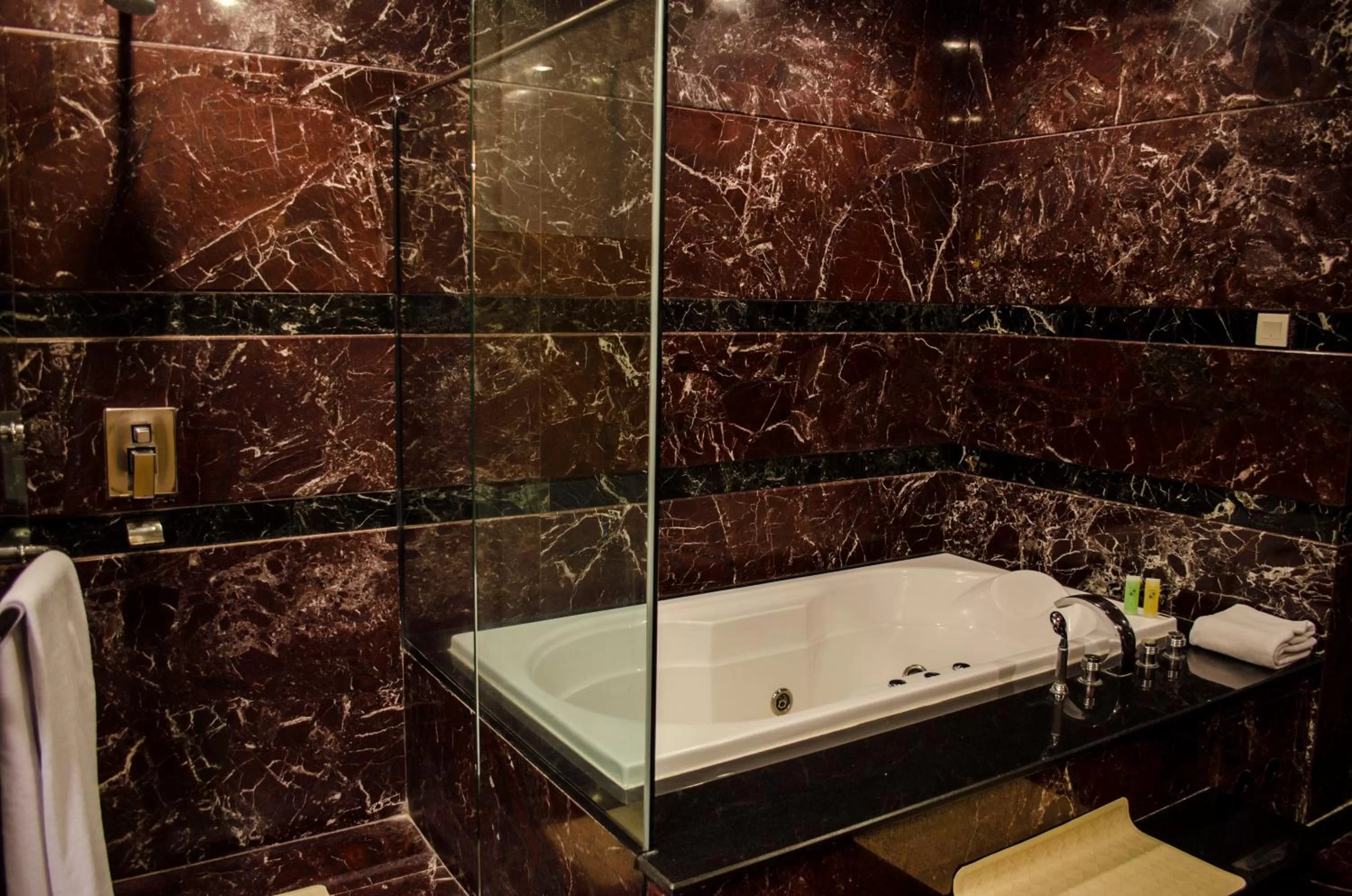 Hot Tub in Swiss-Belhotel Maleosan Manado