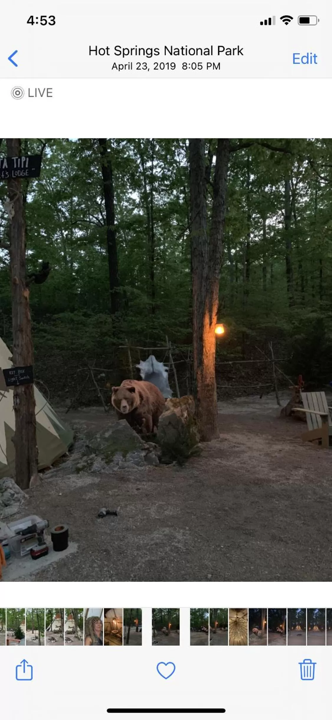 Decorative detail, Other Animals in Fox Pass Cabins