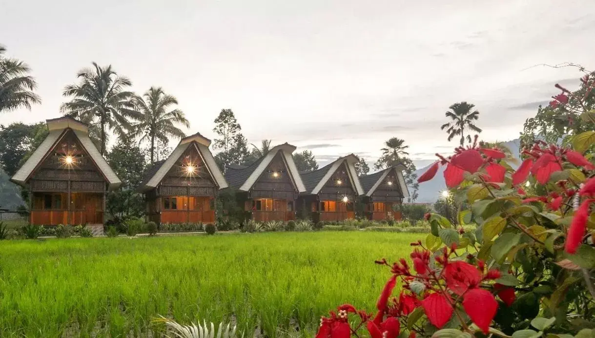 Property Building in Toraja Misiliana Hotel