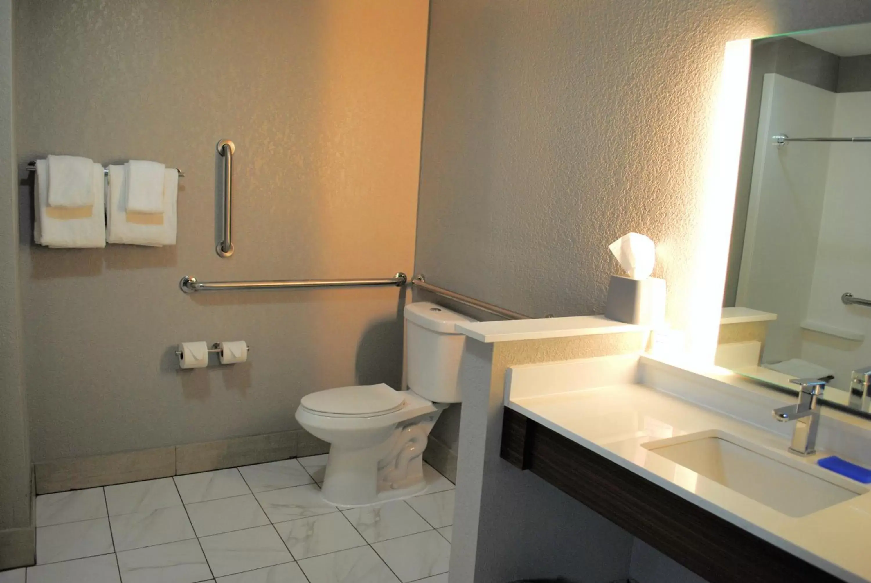 Bathroom in Holiday Inn Express & Suites - Columbia City, an IHG Hotel