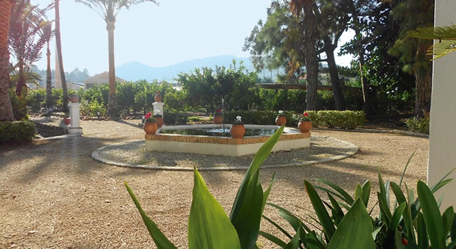 Garden in El Sequer Casa Rural