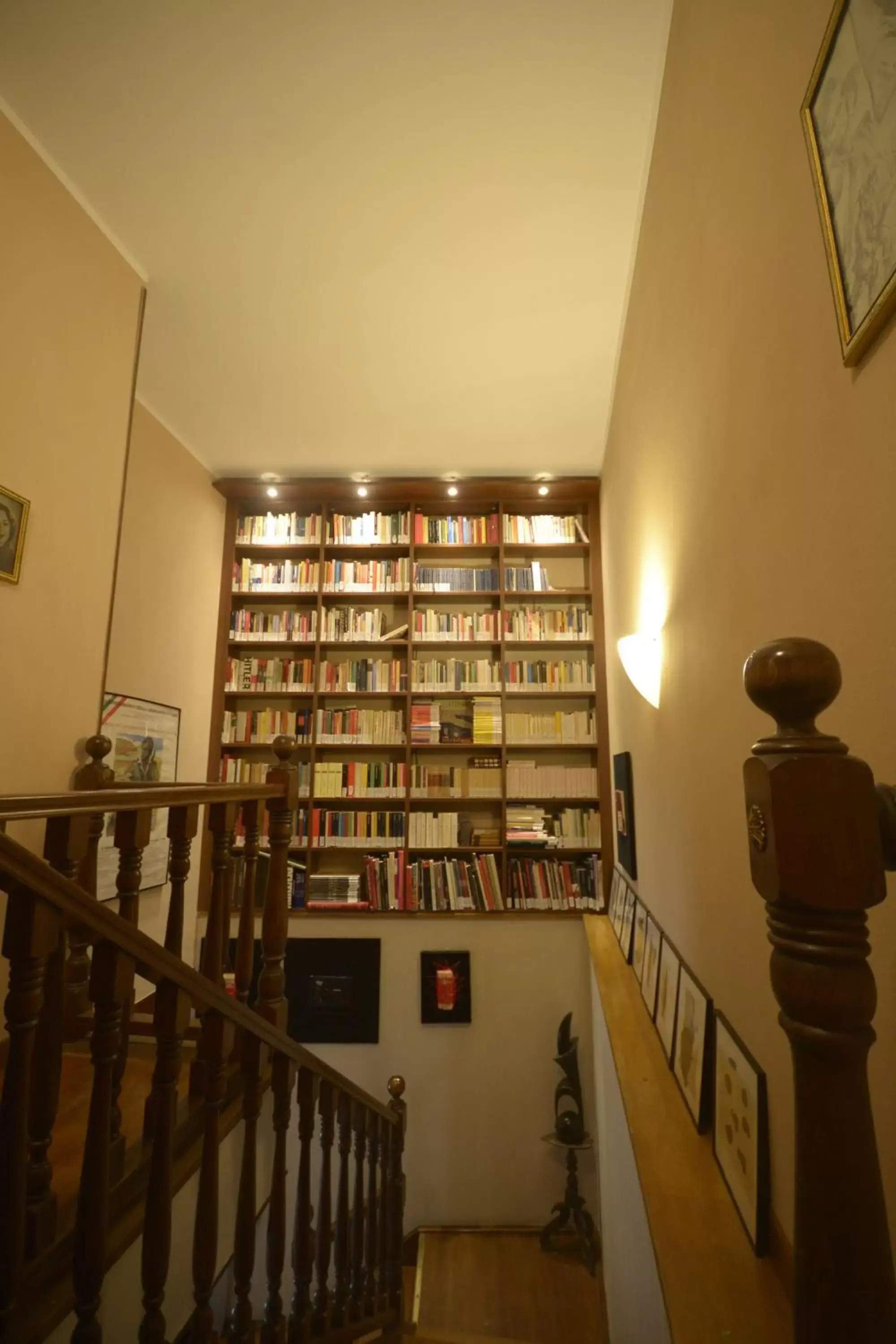 Library in Villa Marisa