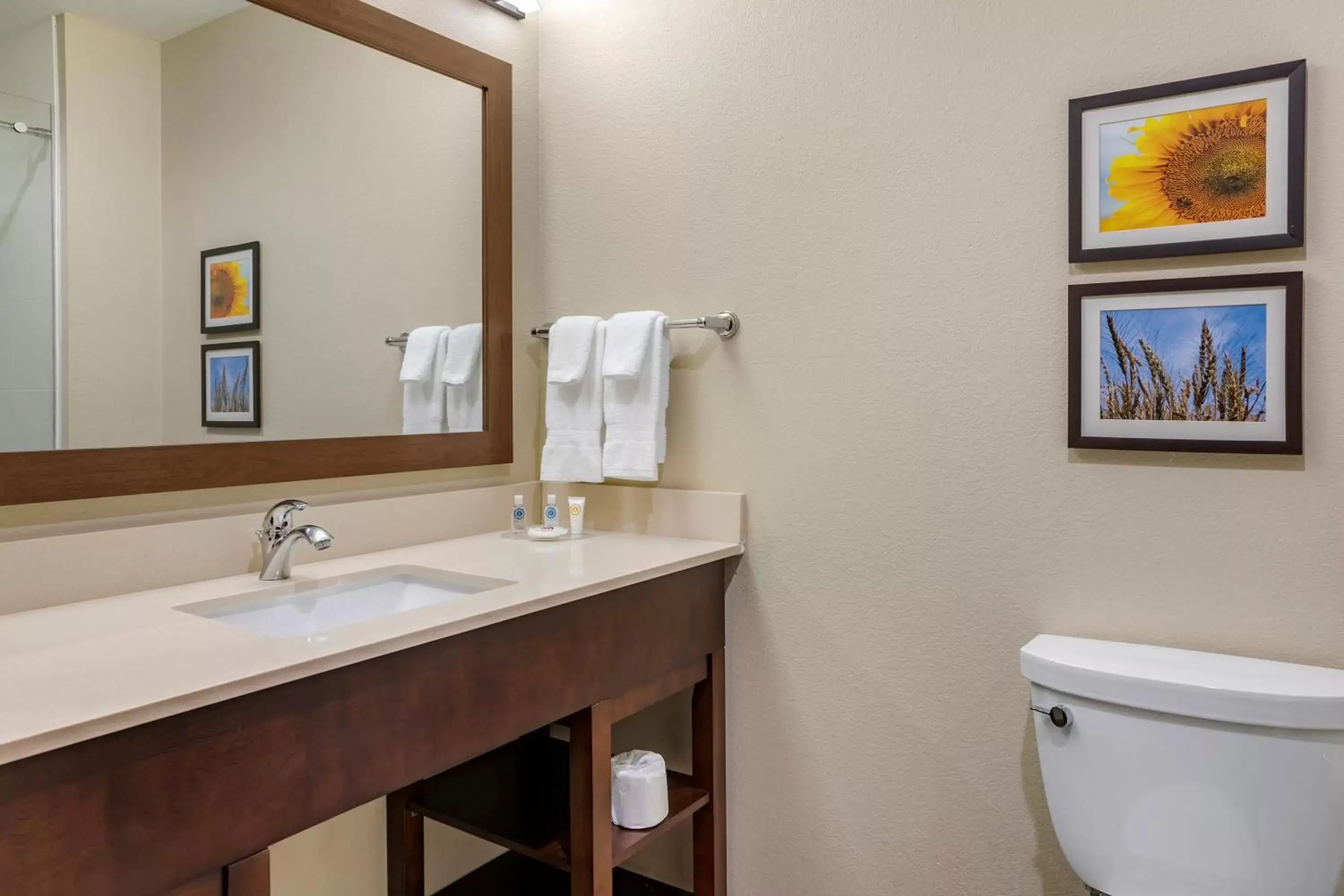 Toilet, Bathroom in Comfort Inn & Suites Augusta