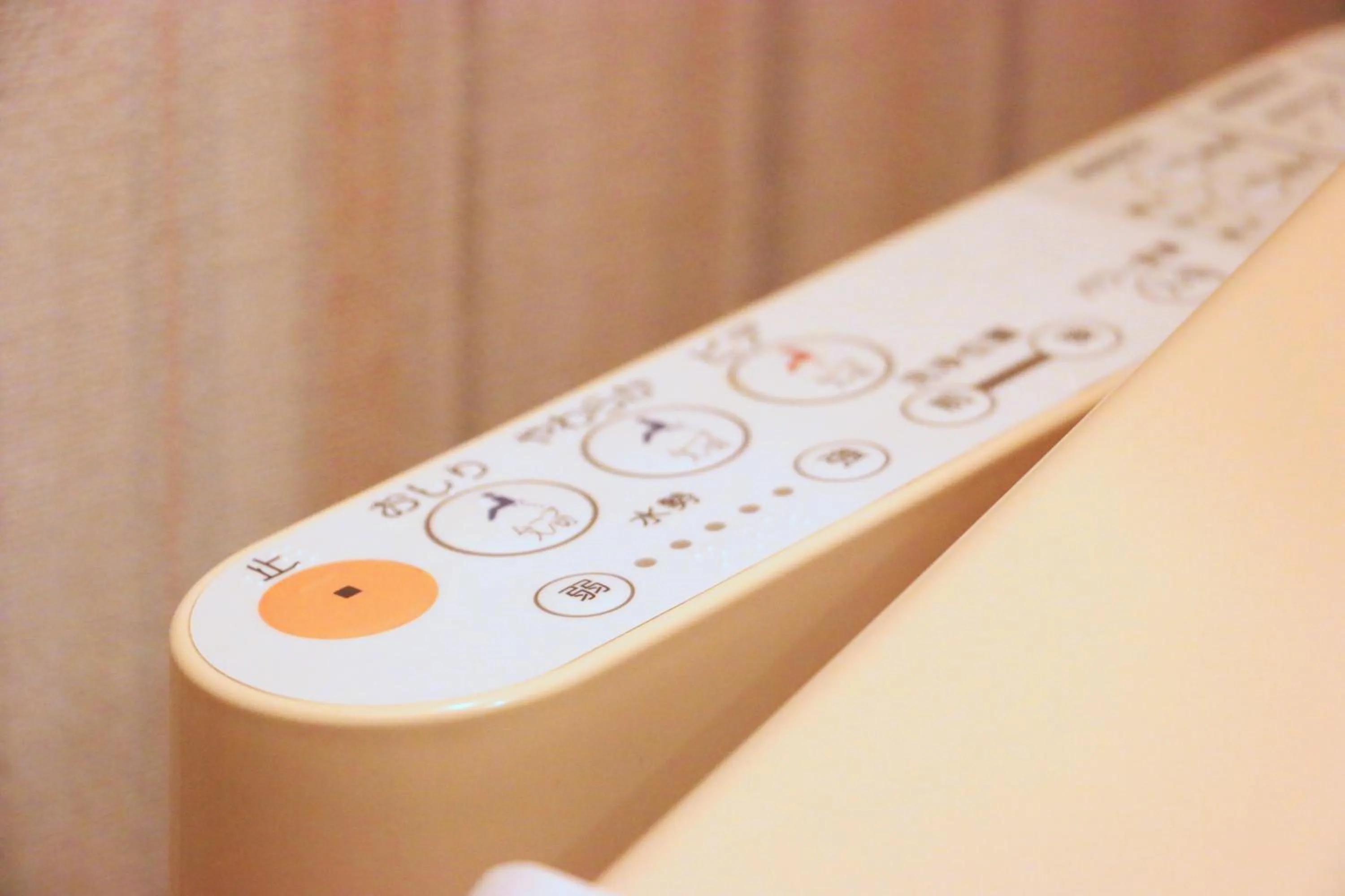 Toilet in Nasushiobara Station Hotel