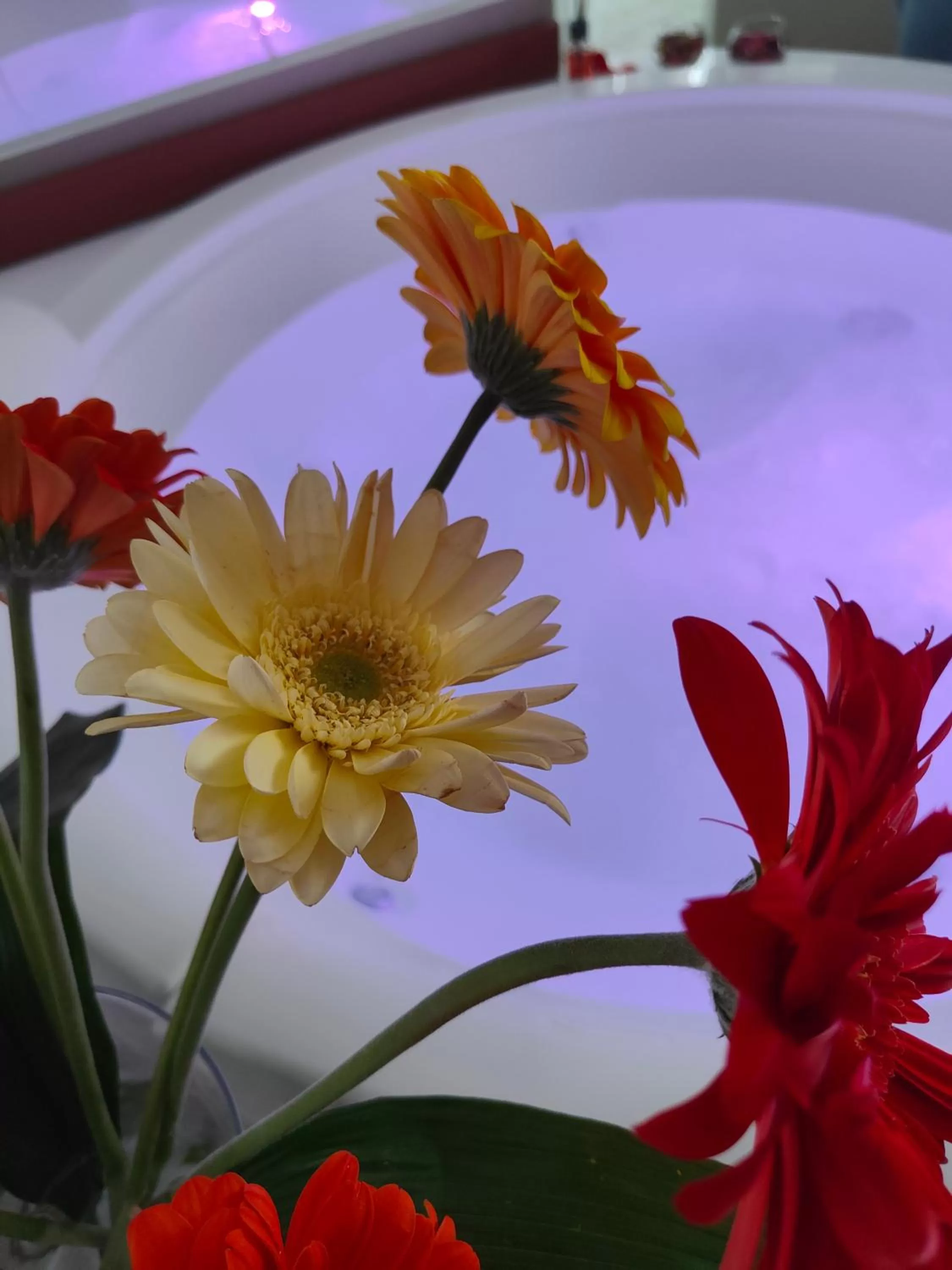 hair dresser in Regina Margherita Suite