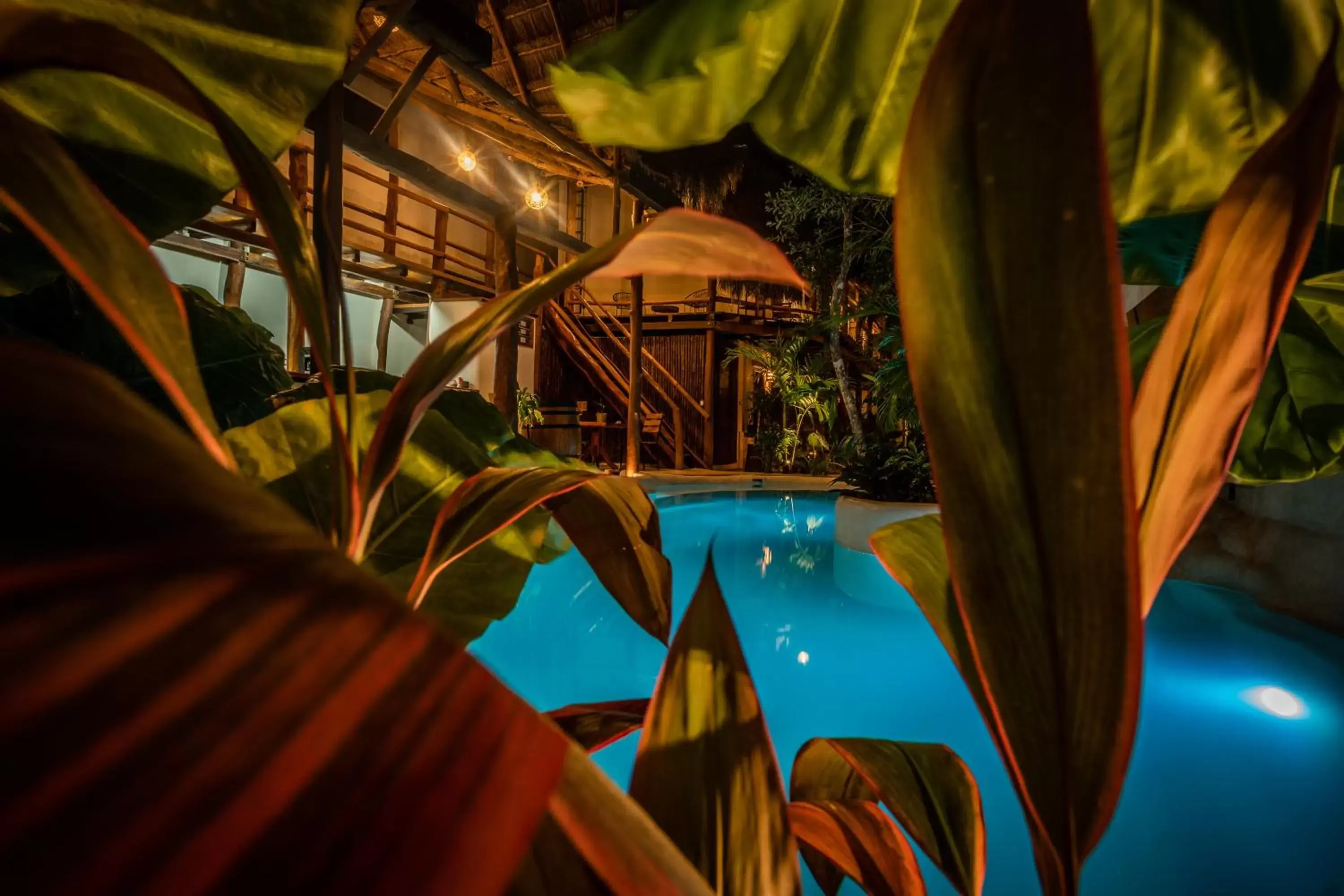 Pool view, Swimming Pool in Hotel Boutique TerraNova