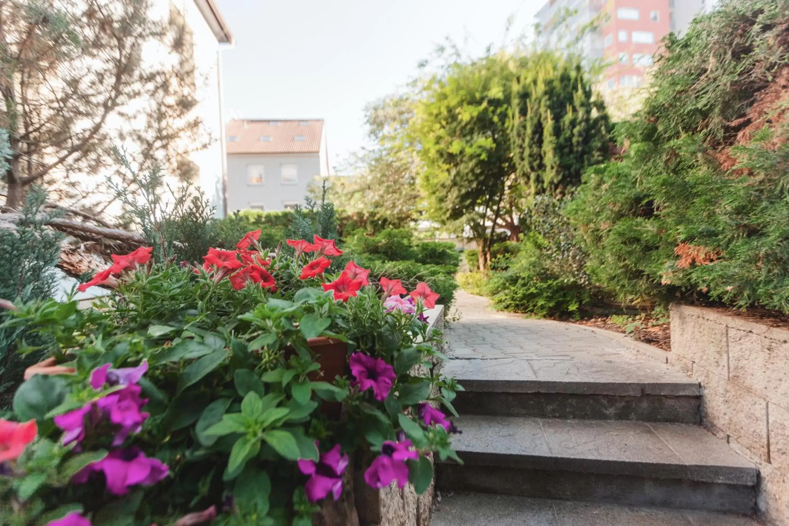 Garden in Hotel Peko