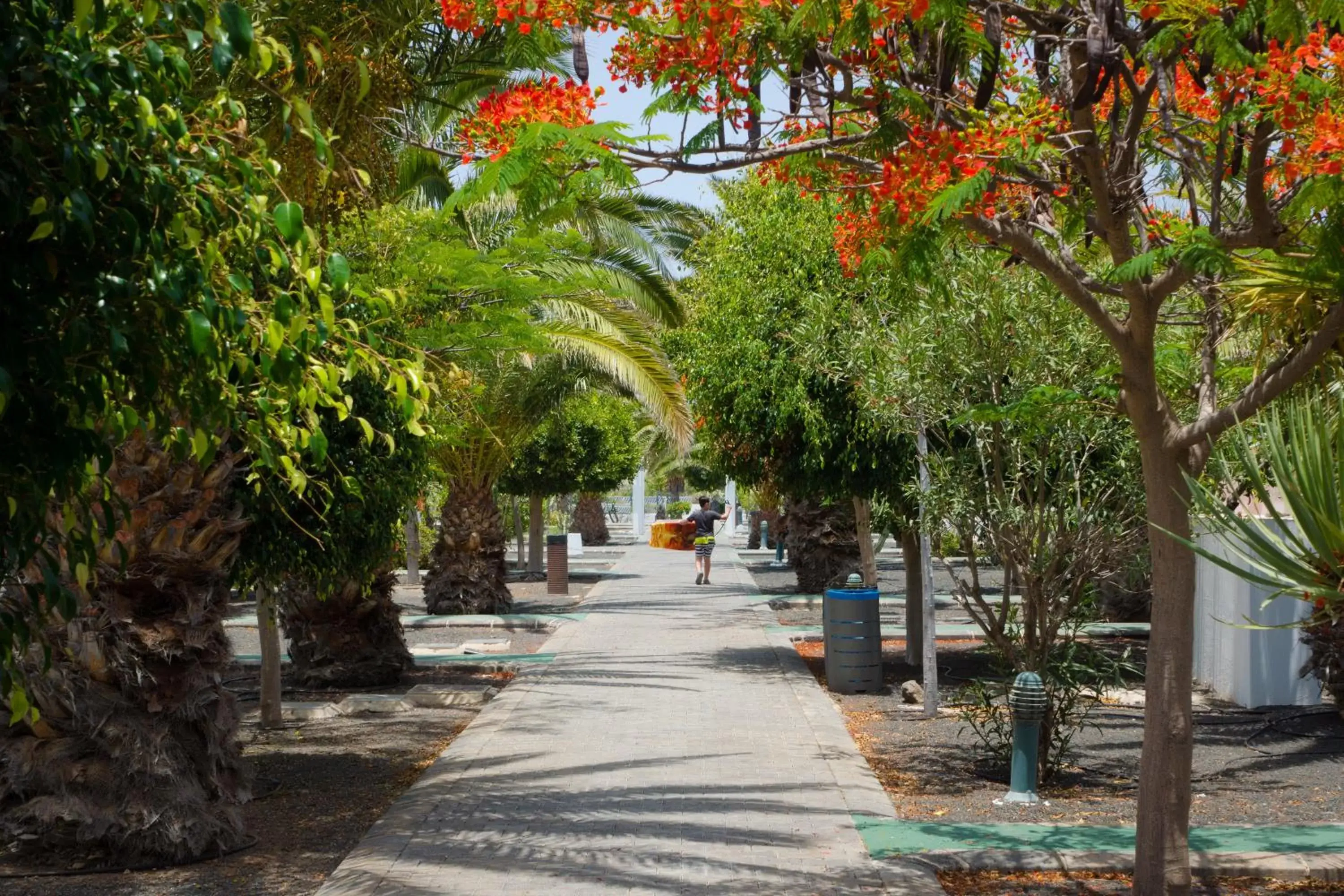 Garden in Relaxia Lanzasur Club - Aqualava Water Park