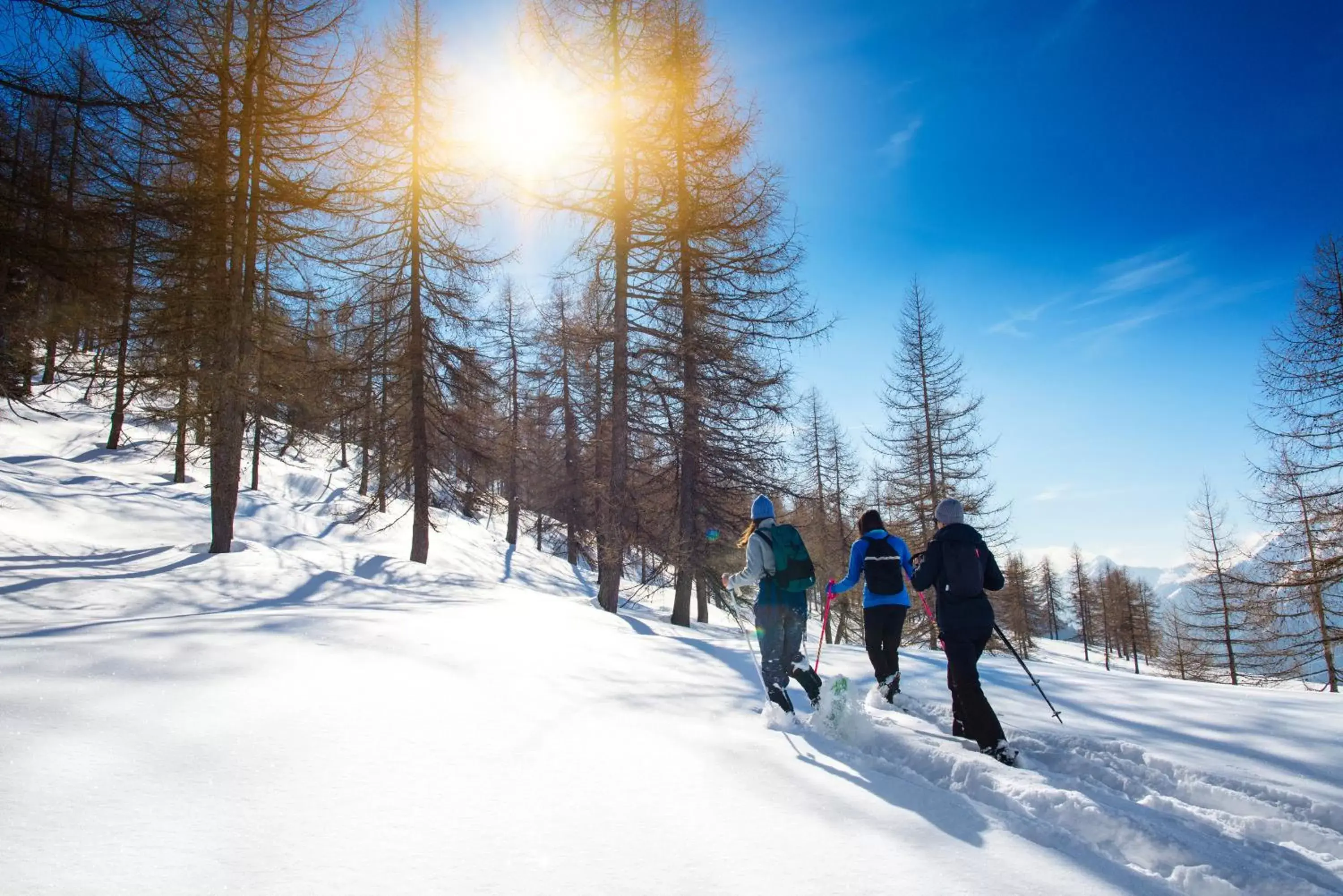 Skiing in BEATUS Wellness- & Spa-Hotel