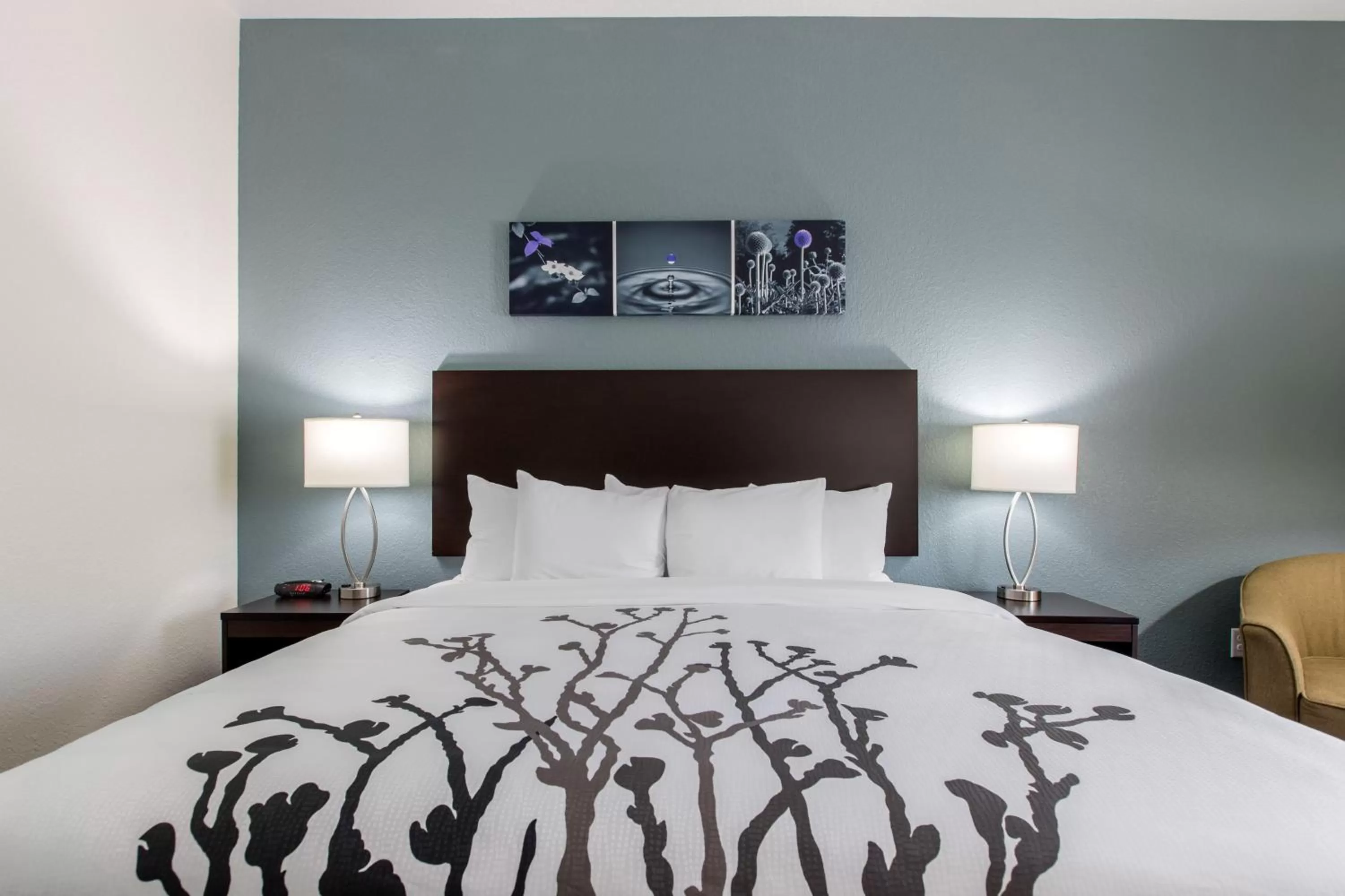 King Room - Accessible/Non-Smoking in Sleep Inn & Suites Ankeny - Des Moines