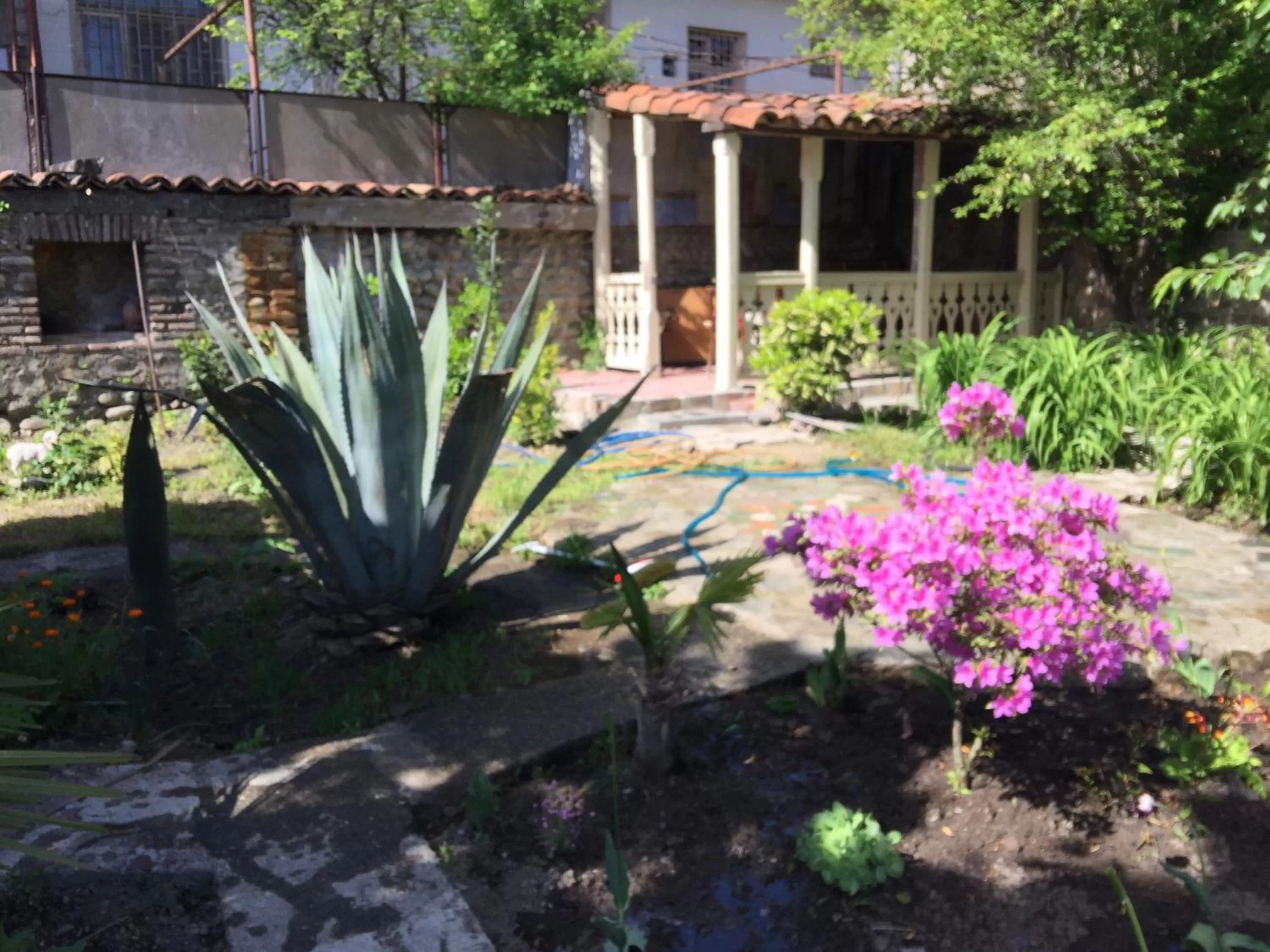 Property Building in Nika's Guest House