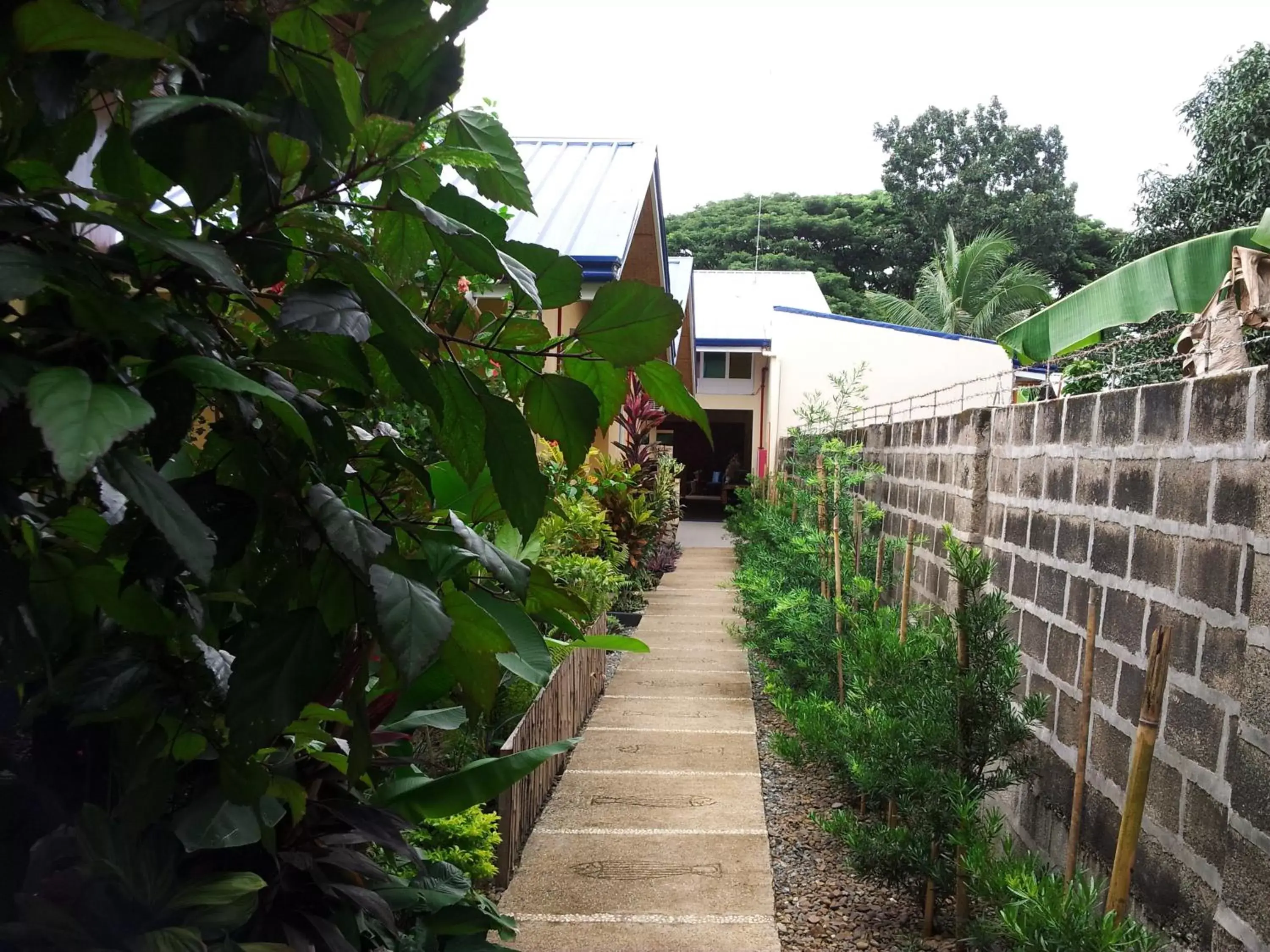 Garden, Property Building in Blue Lagoon Inn & Suites