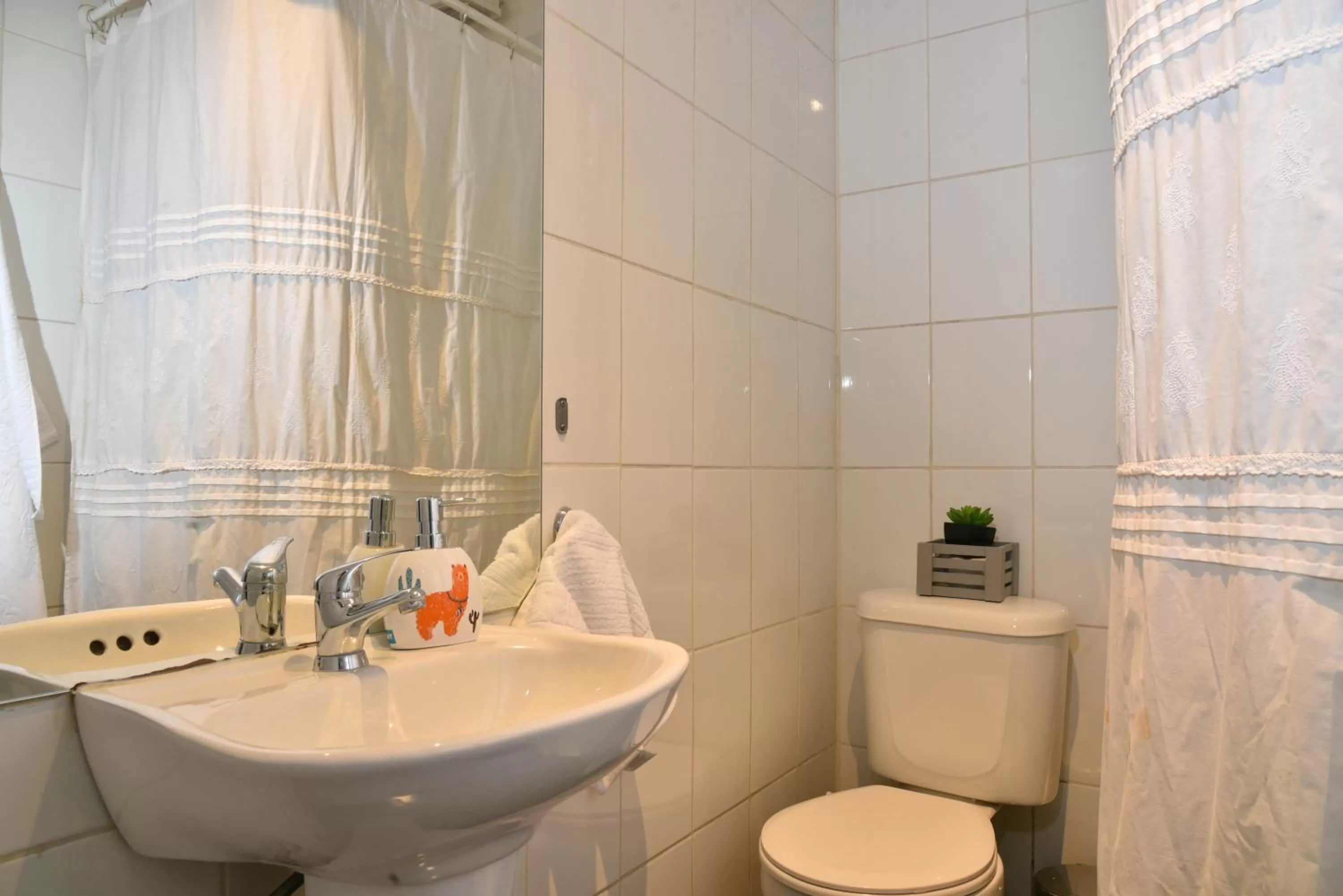 Bathroom in Andino Bed & Breakfast