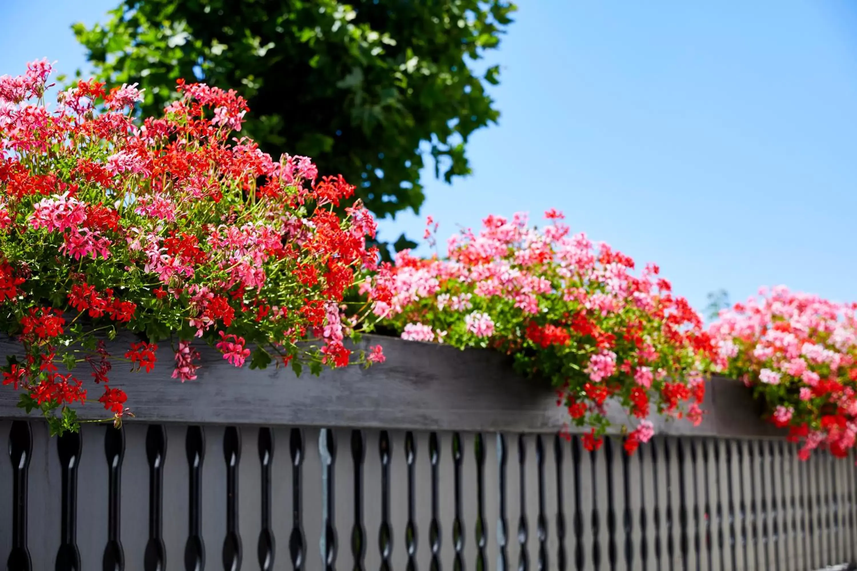 Balcony/Terrace in Sonnenhof