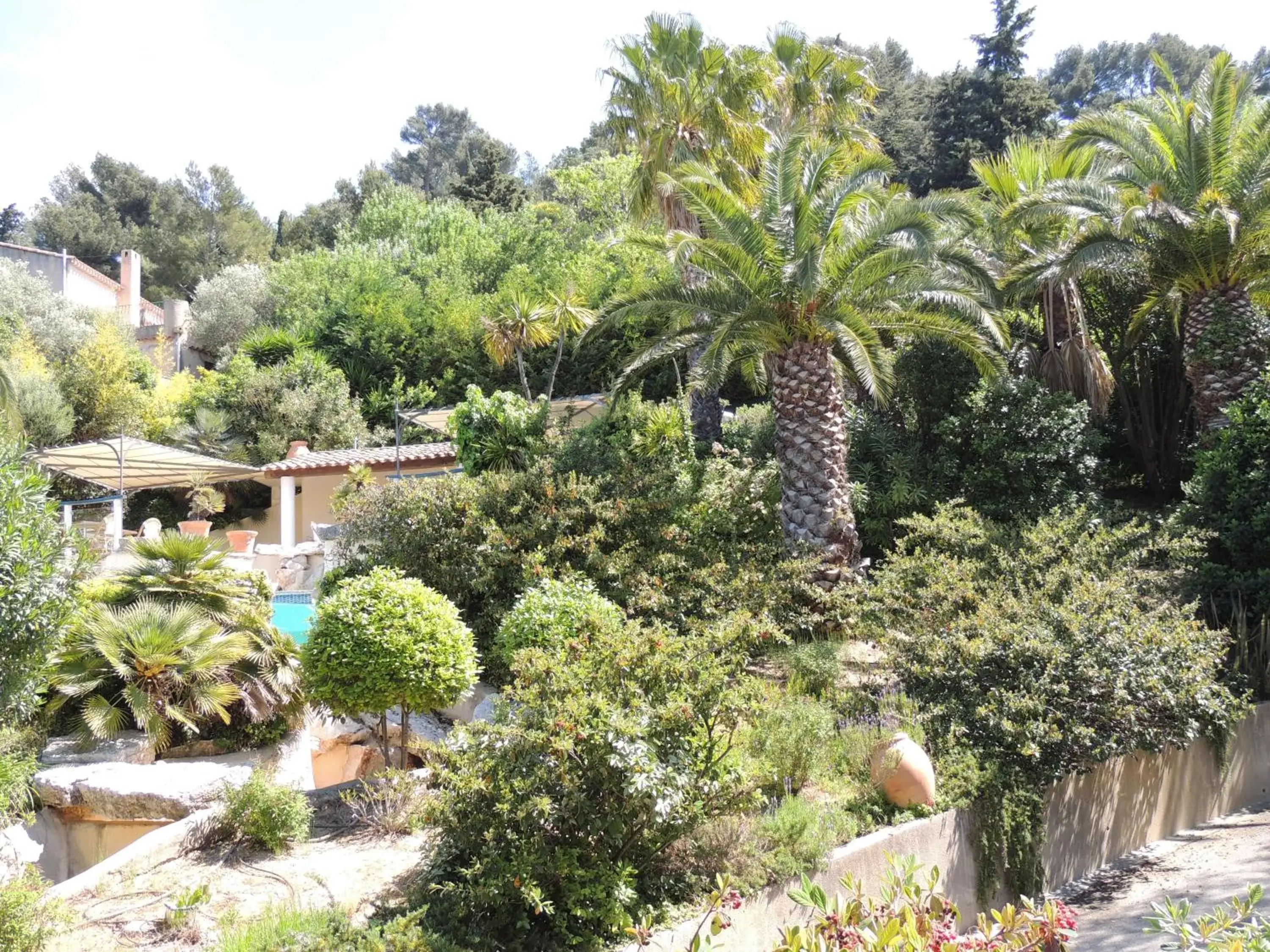 Garden in Royal Cottage