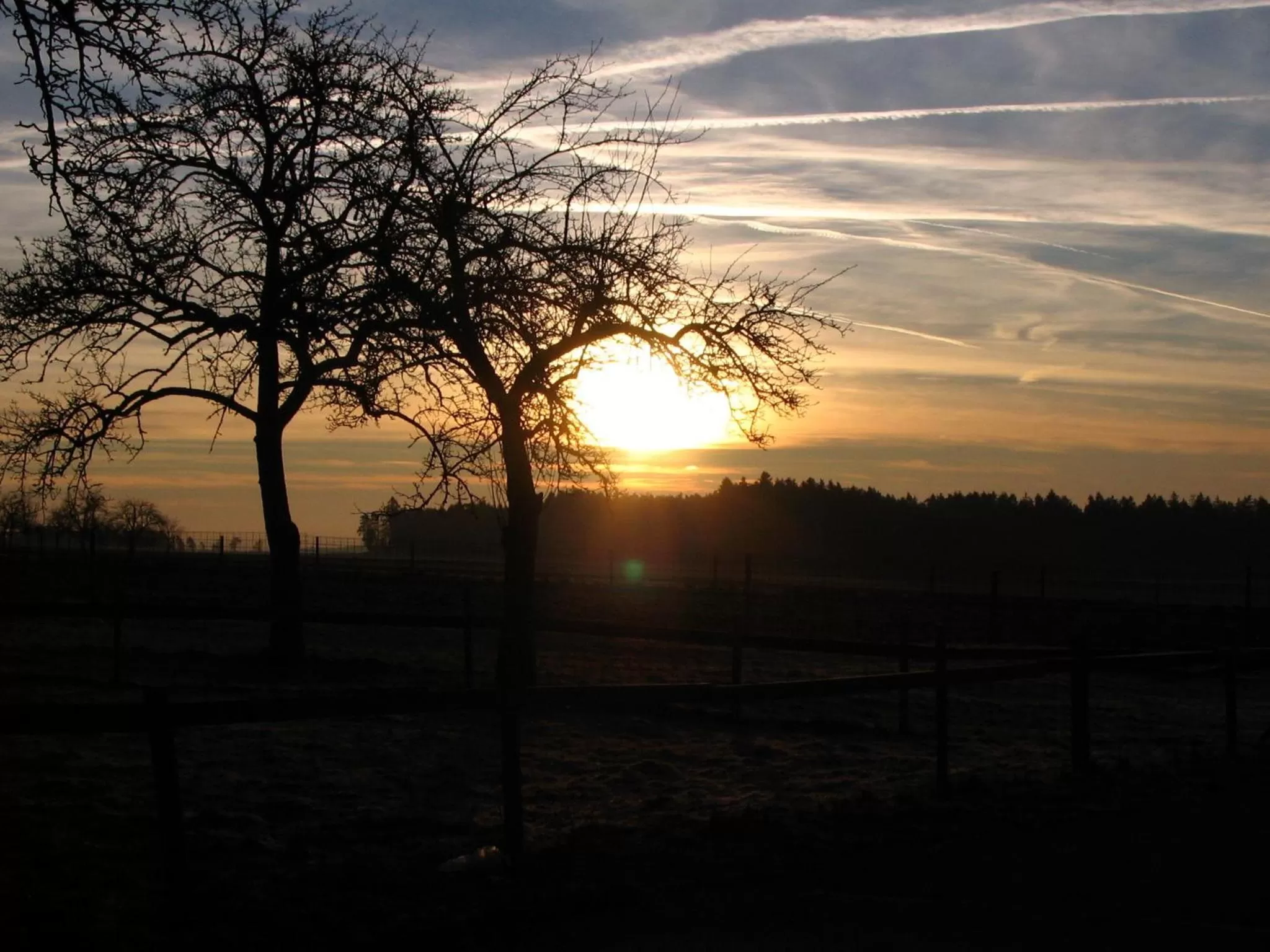 Garden view in Landgasthof Anker
