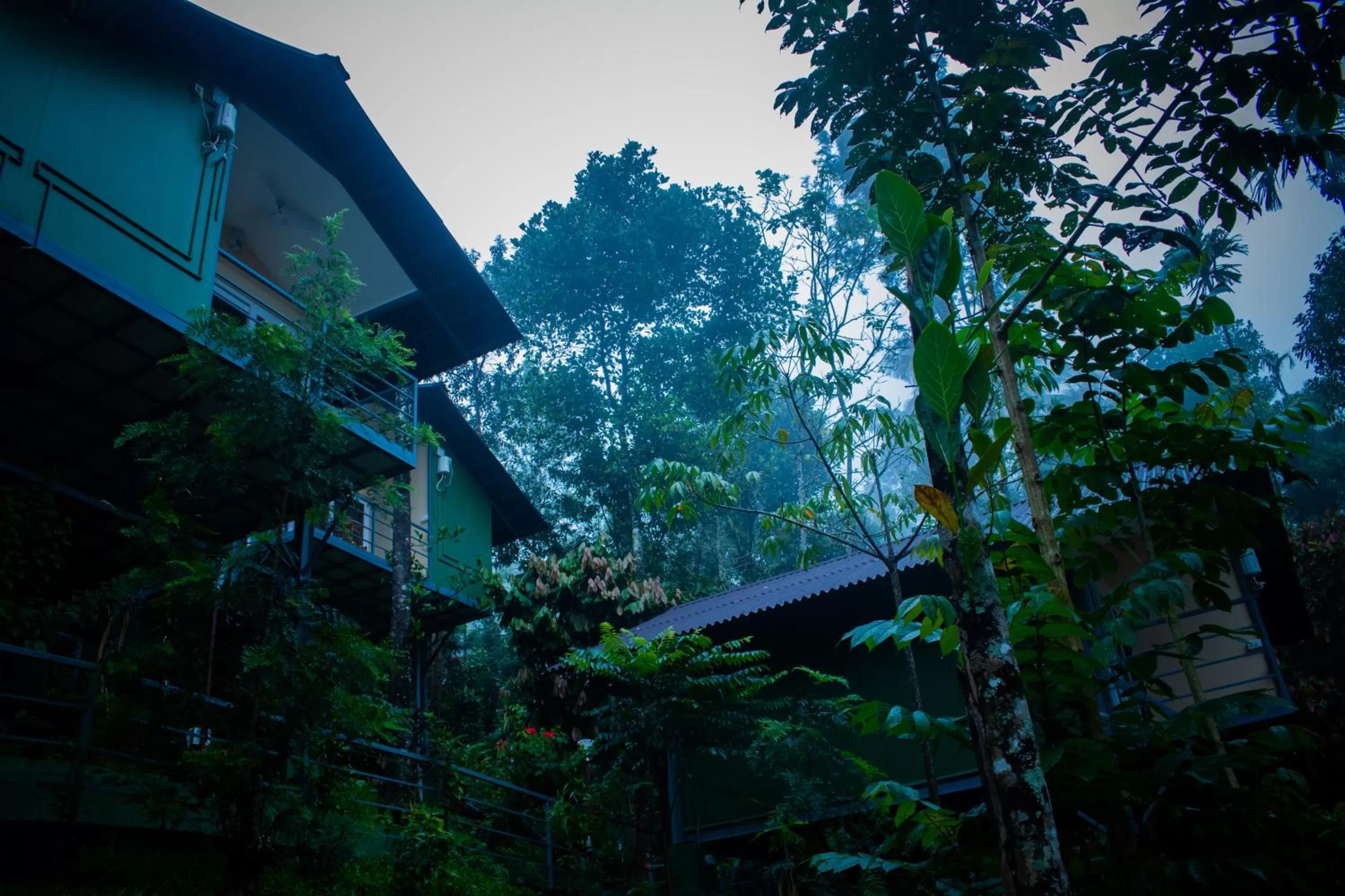 Property building in Edens Munnar