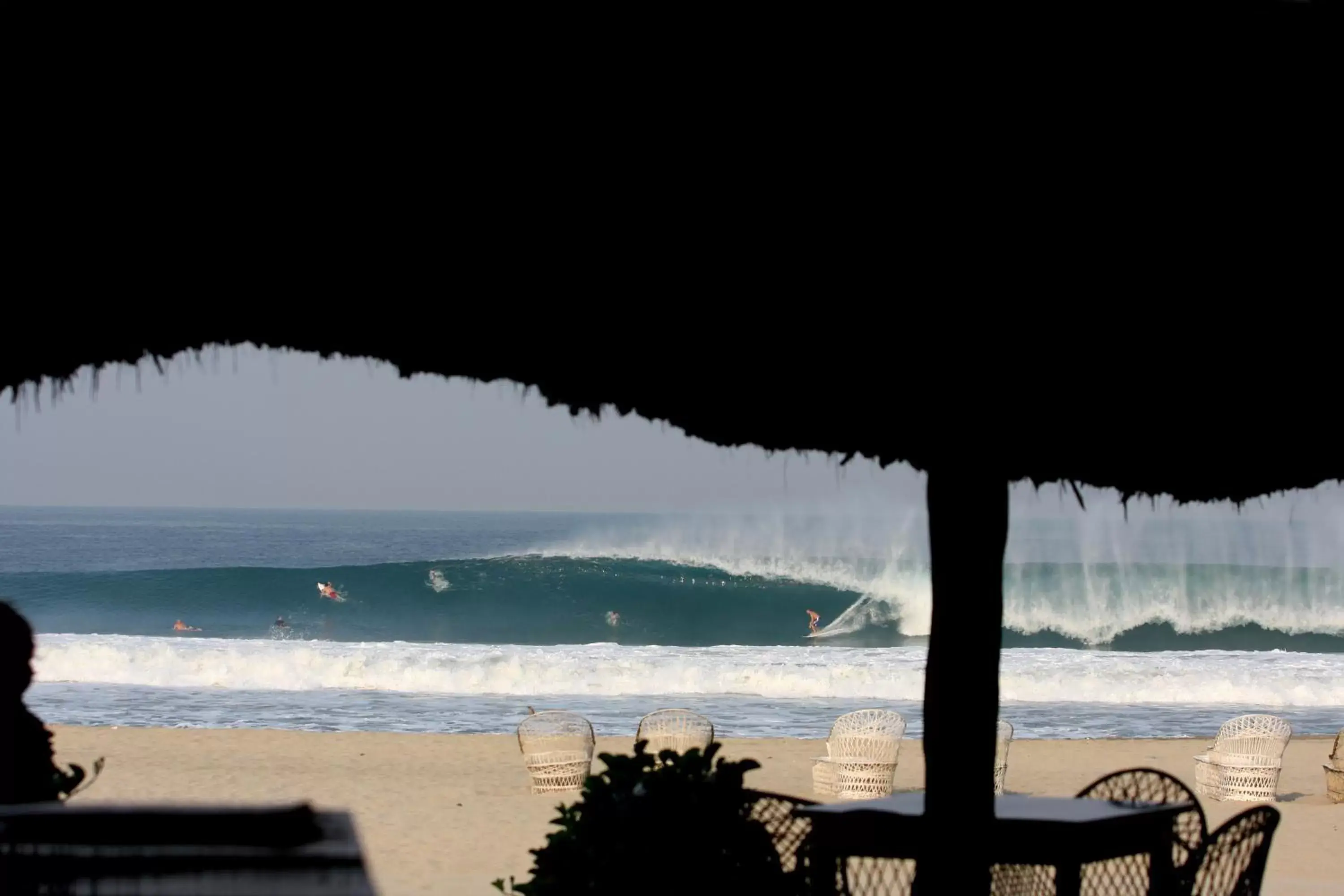 Natural Landscape in Hotel Bungalows Acuario