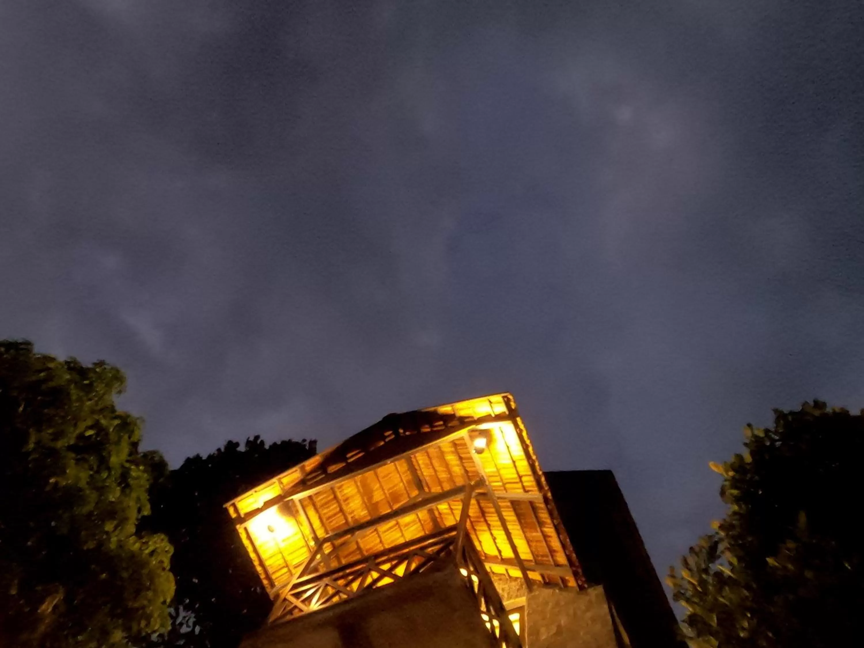 View (from property/room) in The Wild Trails Clarks Exotica , Munnar