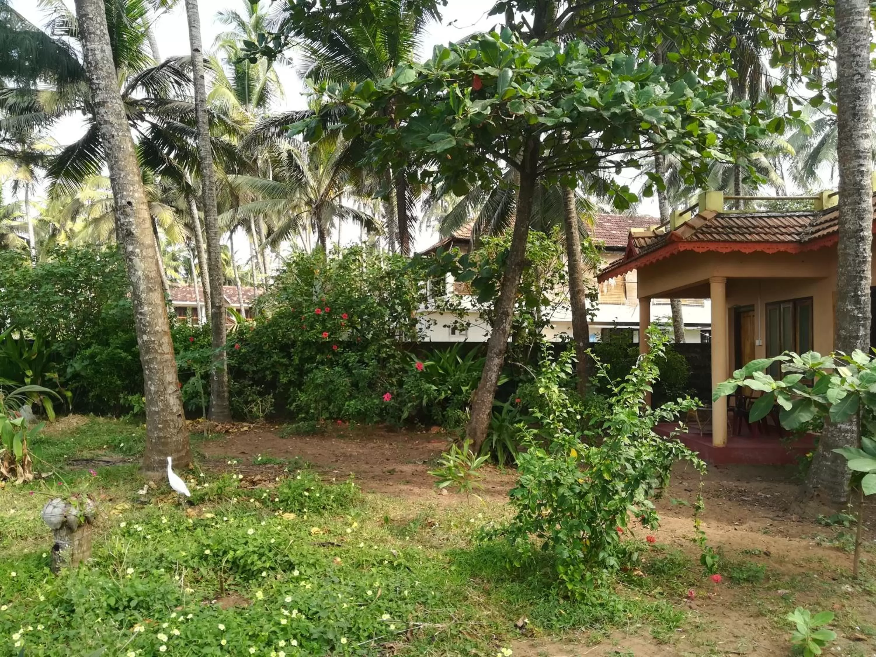Property building in Sukriti beach Resort