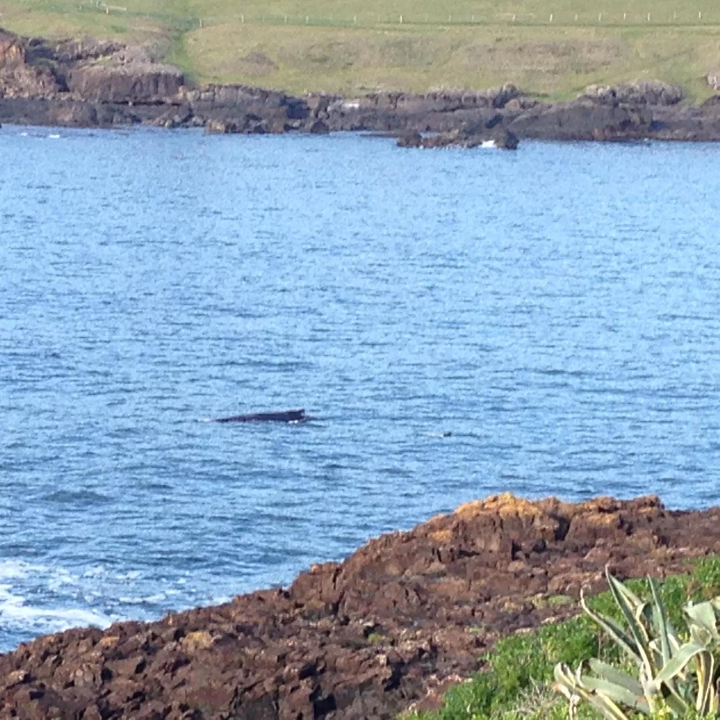 On site, Natural Landscape in Sea Whispers